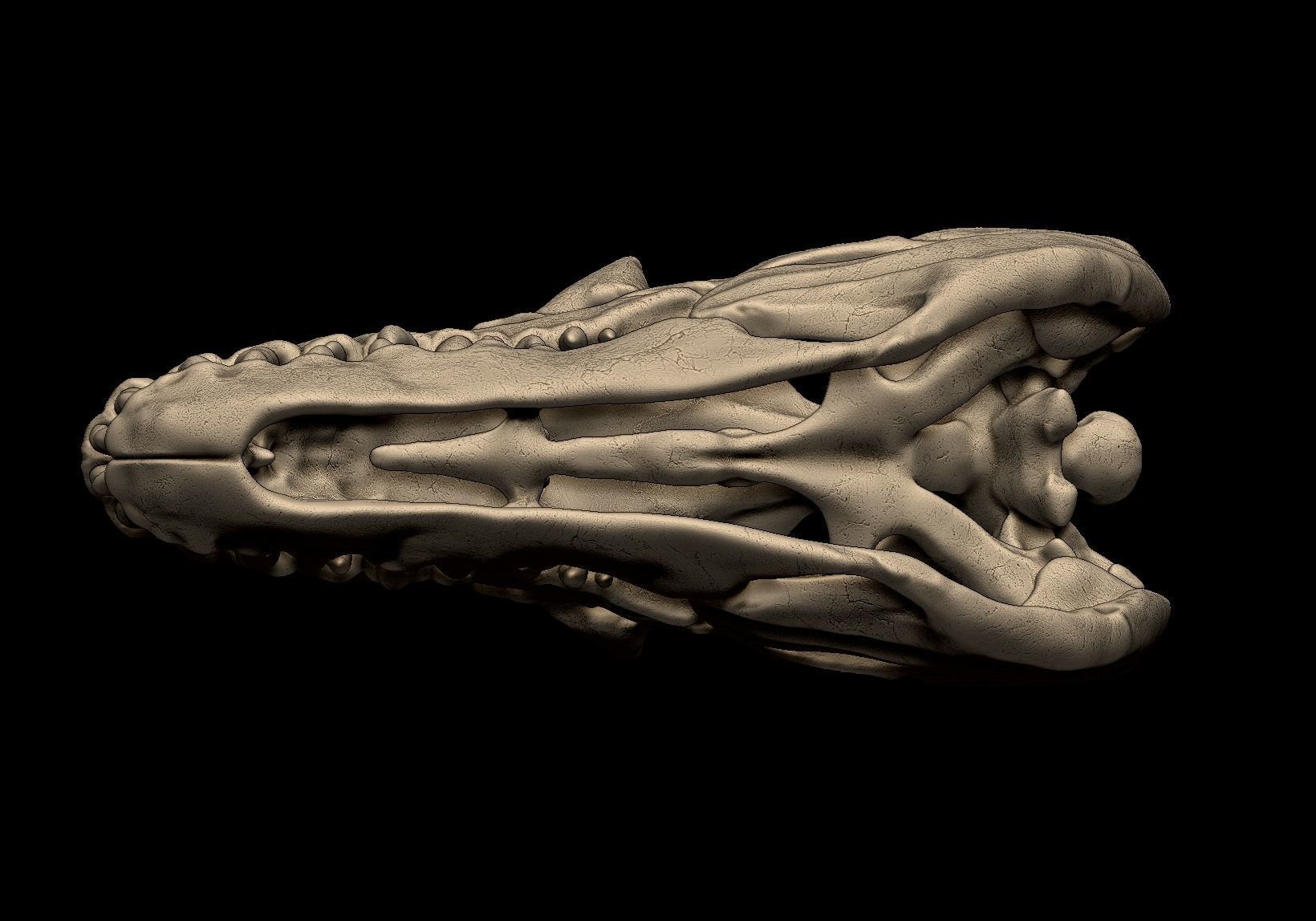 Indominus Rex Skull 3D print model_6