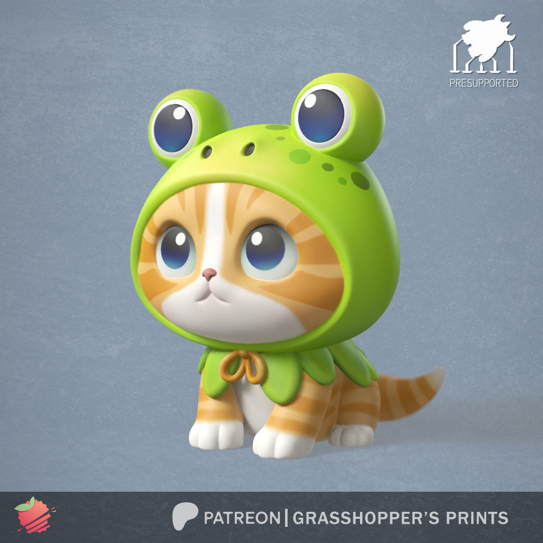 COSTUMED CAT FROG 3D print model_4