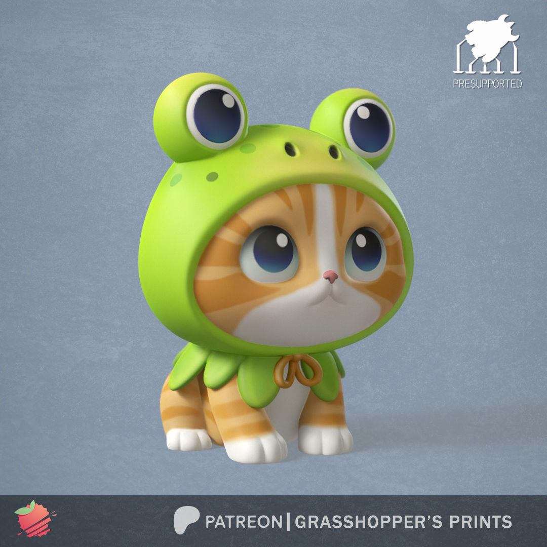 COSTUMED CAT FROG 3D print model_1