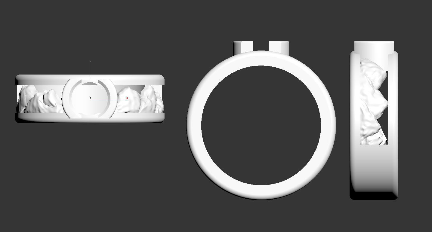 ring gold 3D print model_9