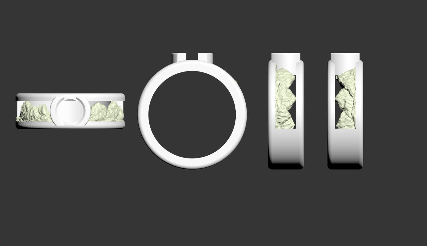 ring gold 3D print model_17