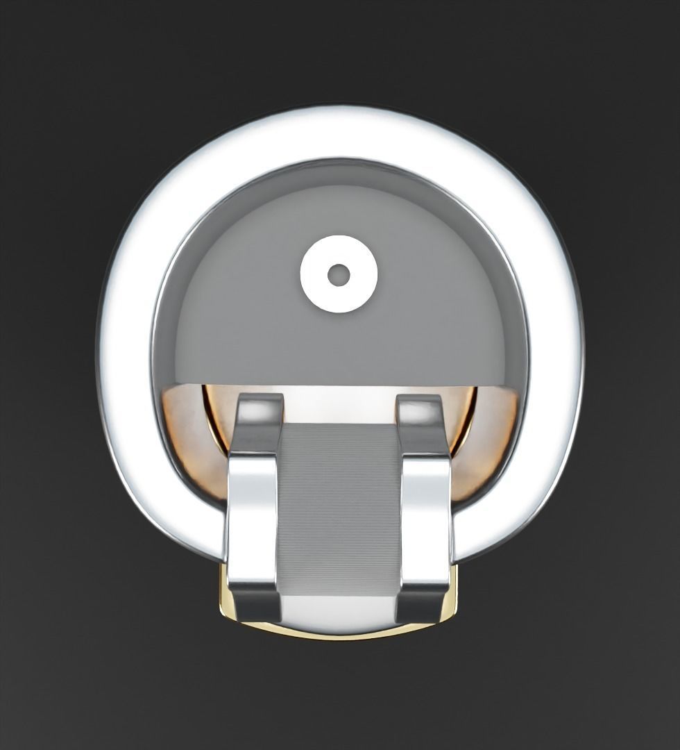 Gold clipper 3D model 3D model_2