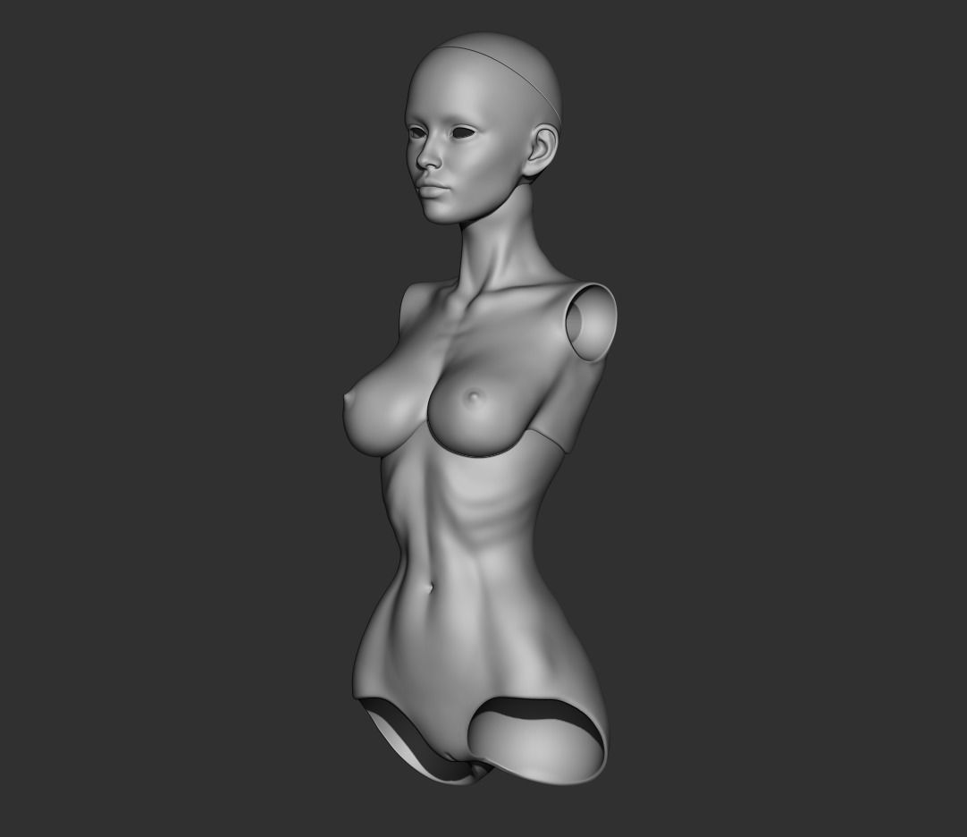 3D model bjd doll Female figurines articulated doll ooak  3D print model_1