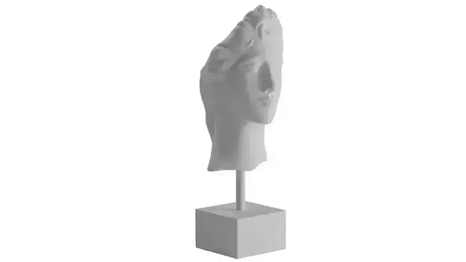Roman Head Sculpture