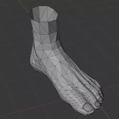 Foot Base Mesh