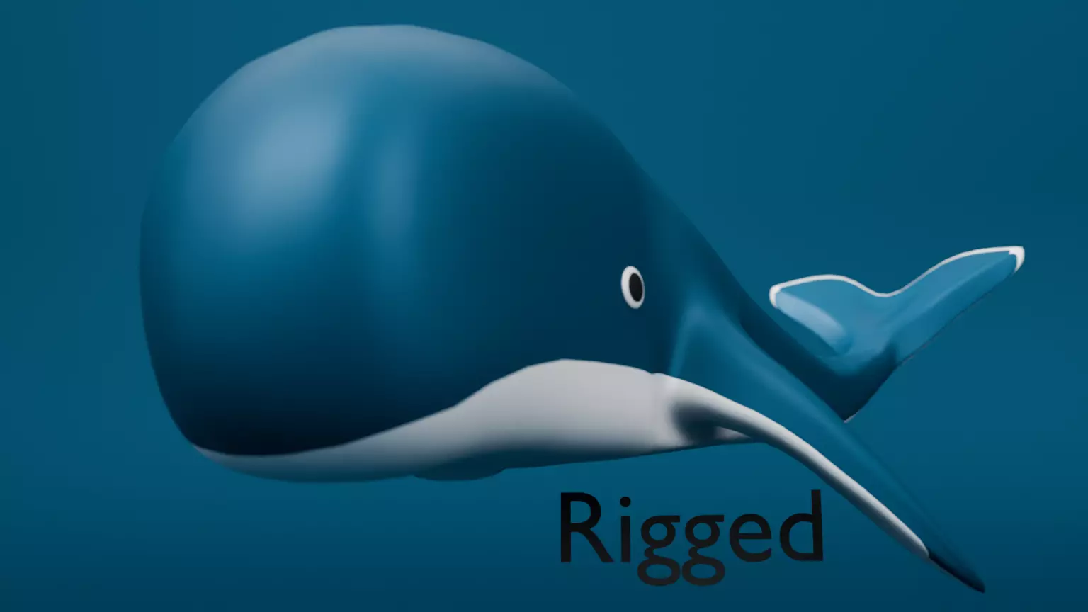 3D Whale Low-poly 3D model