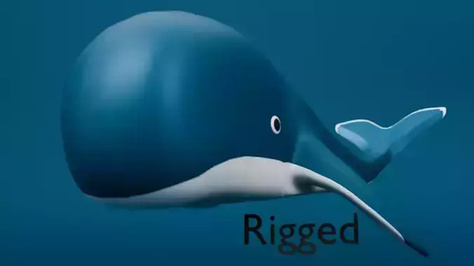 3D Whale 