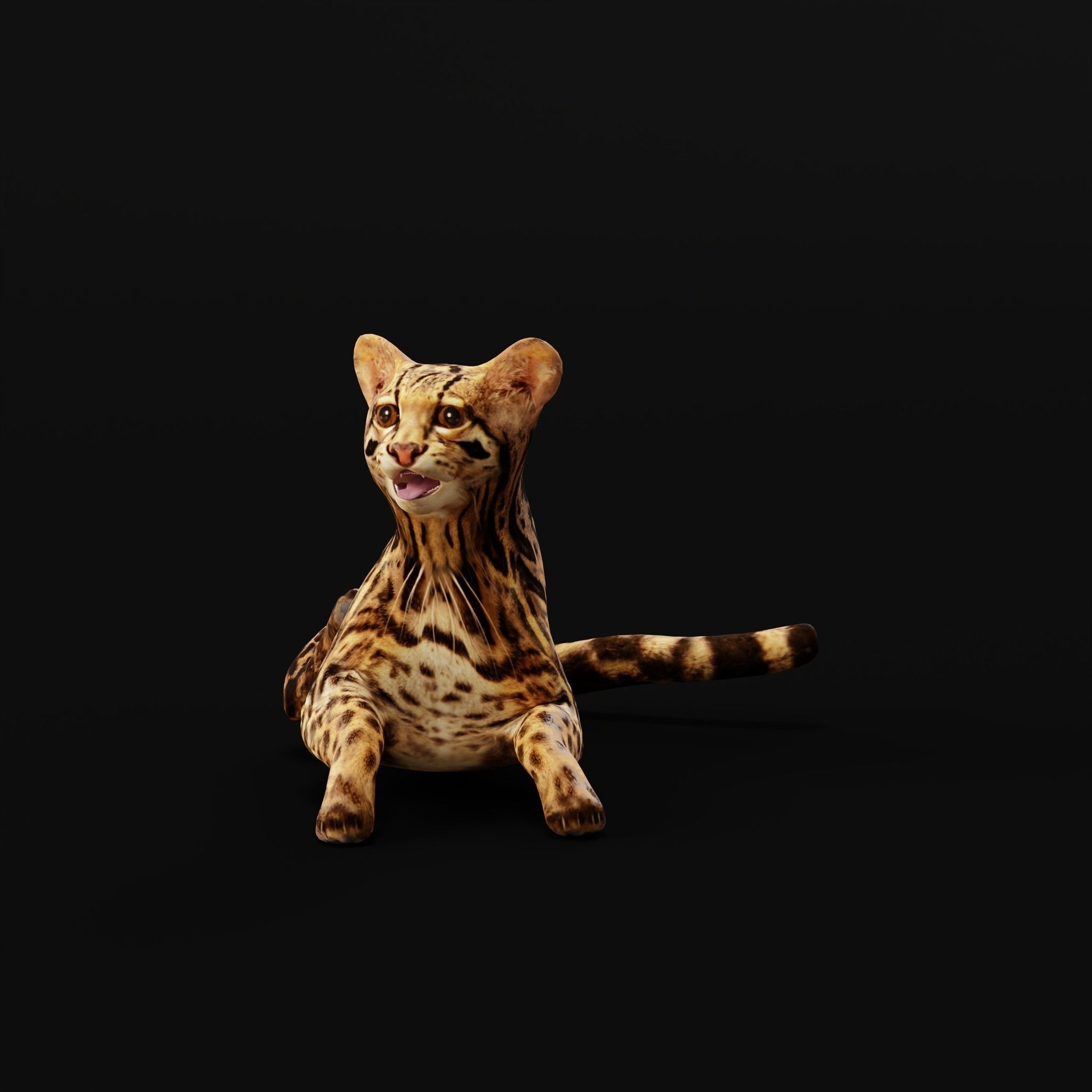 American Margay Wild Cat Low-poly 3D model_37