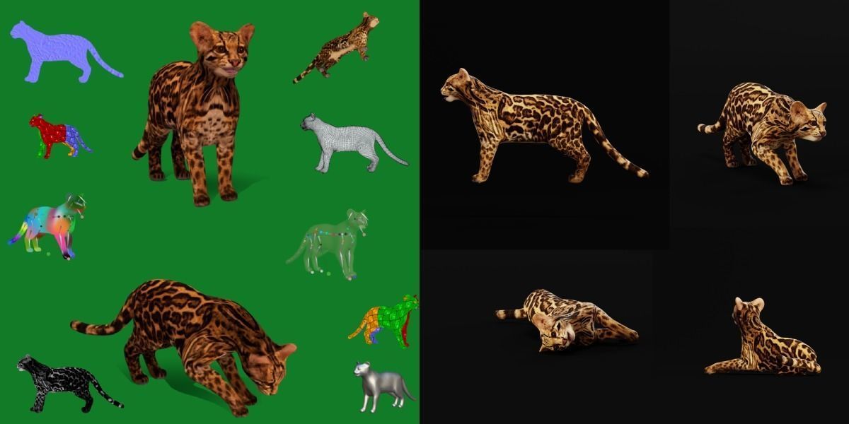 American Margay Wild Cat Low-poly 3D model_7