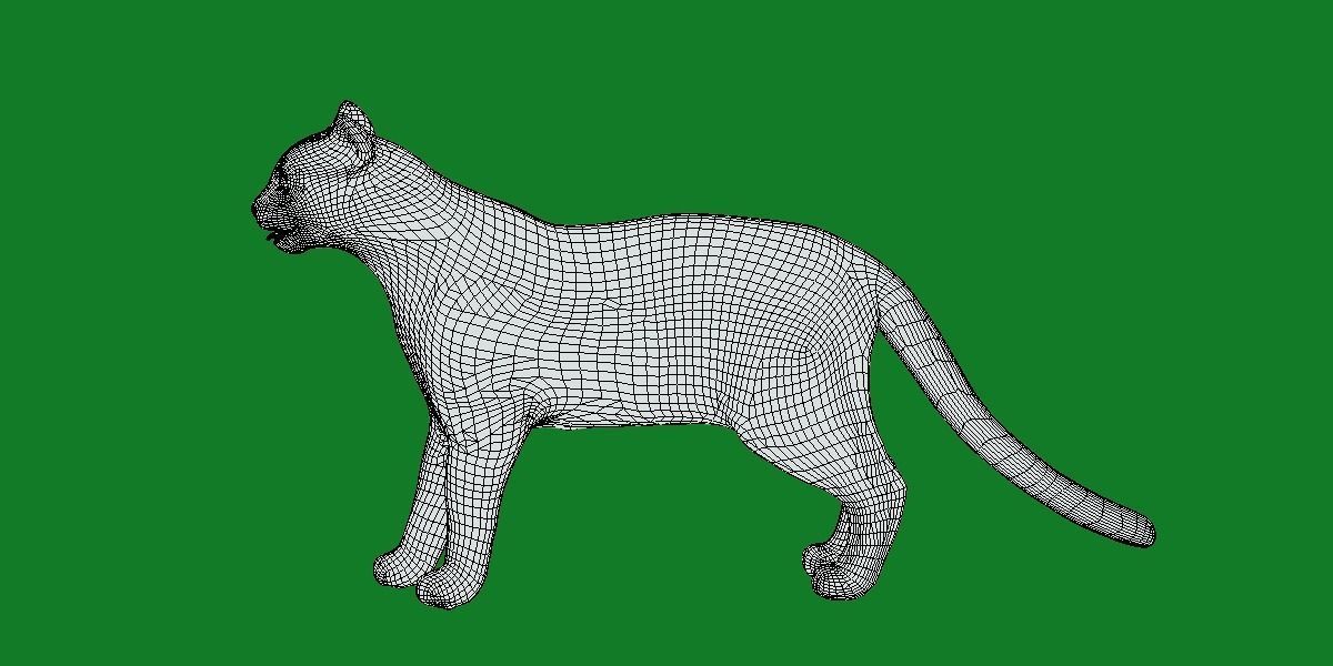 American Margay Wild Cat Low-poly 3D model_14