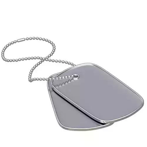 Silver Dog Tags 3D model