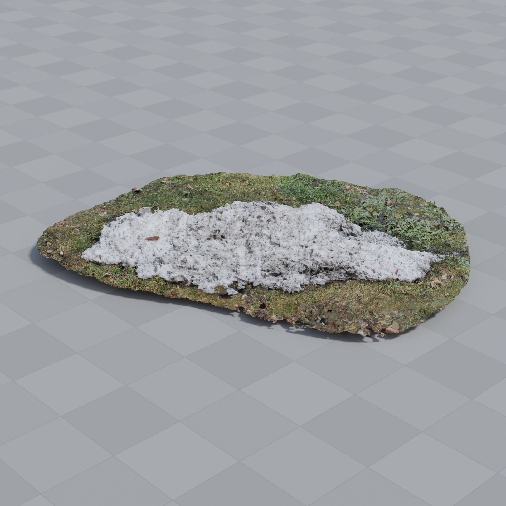 Snow In Grass 3D model_3