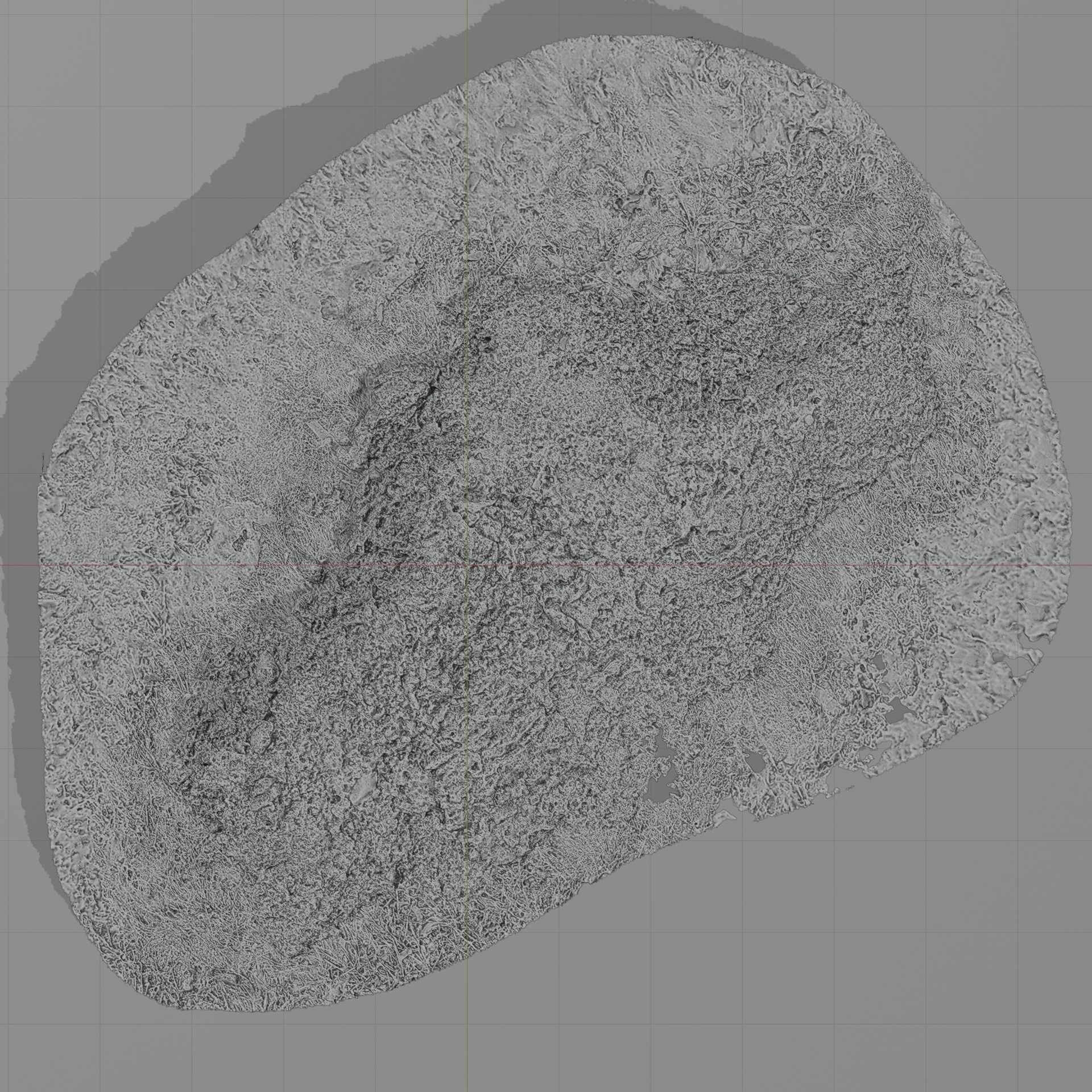 Snow In Grass 3D model_9