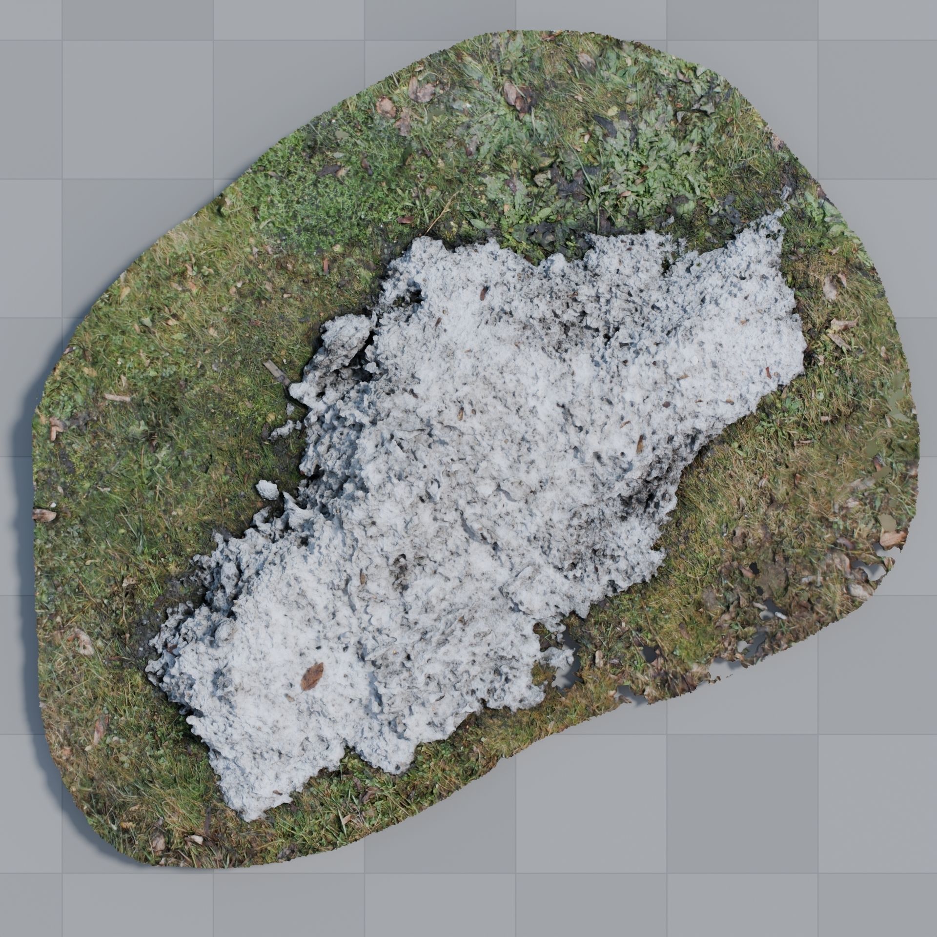 Snow In Grass 3D model_4