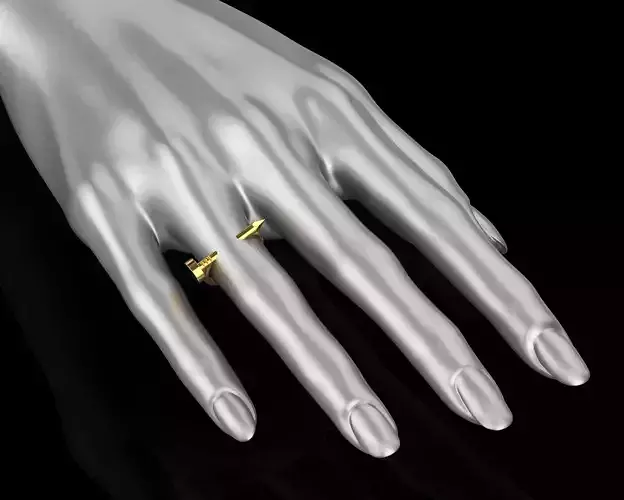 Nail Ring In the finger 20 Size N98 3D print model