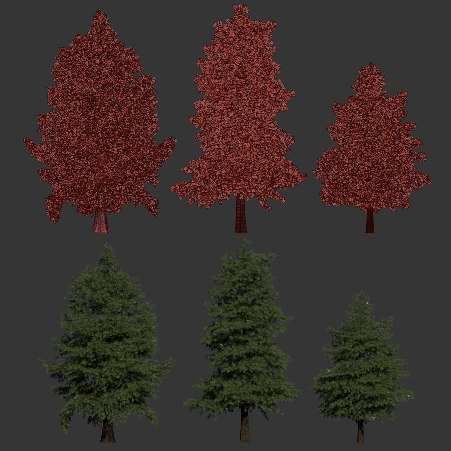Conifer trees vol 78 3D model_6