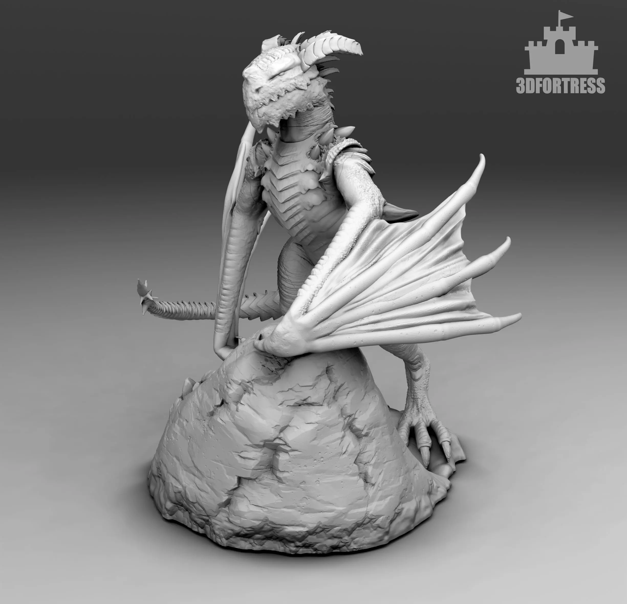 The Dragon on the rock 3D print model