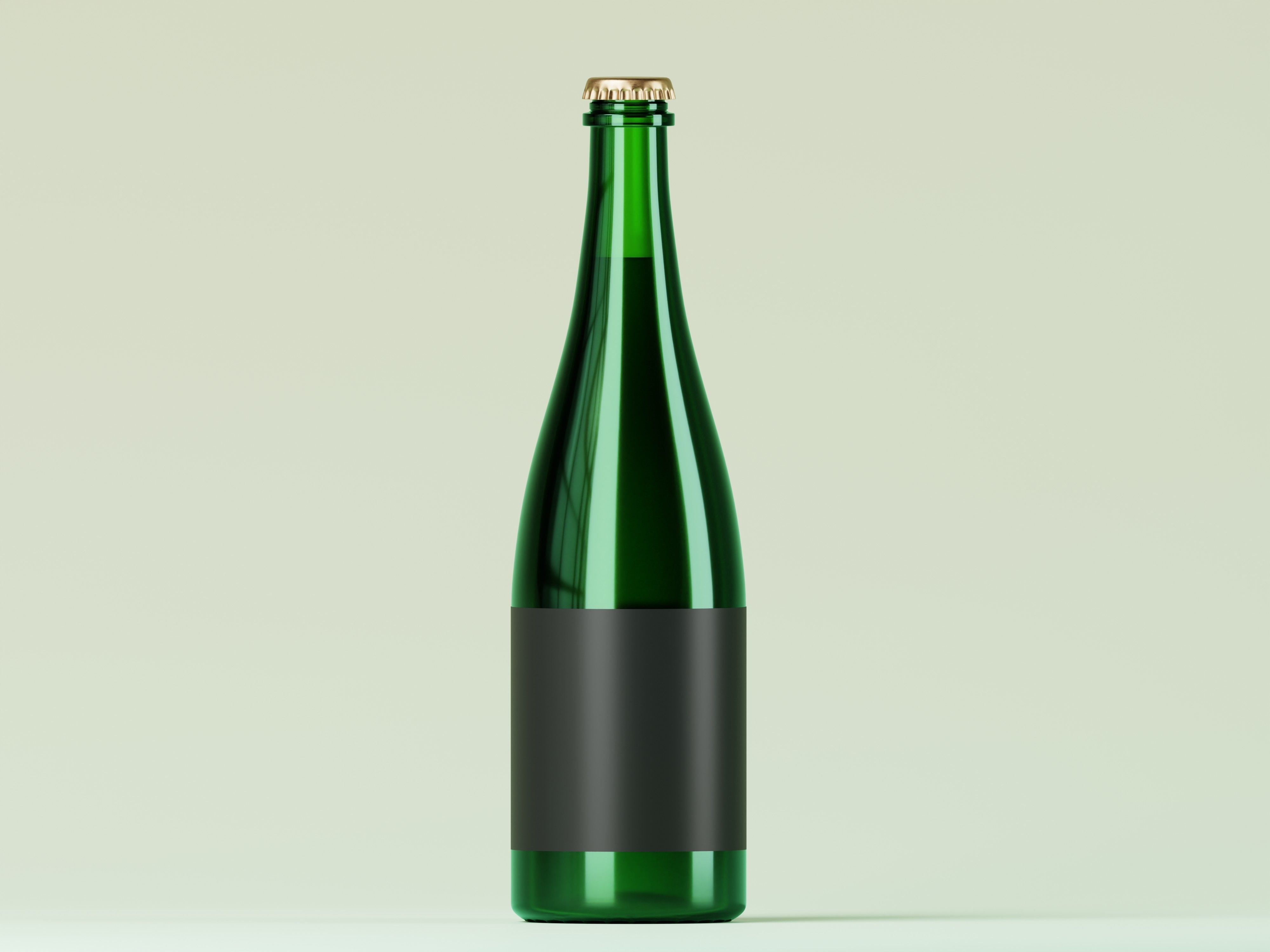 Champagne Bottle 3D Model Low-poly 3D model_1
