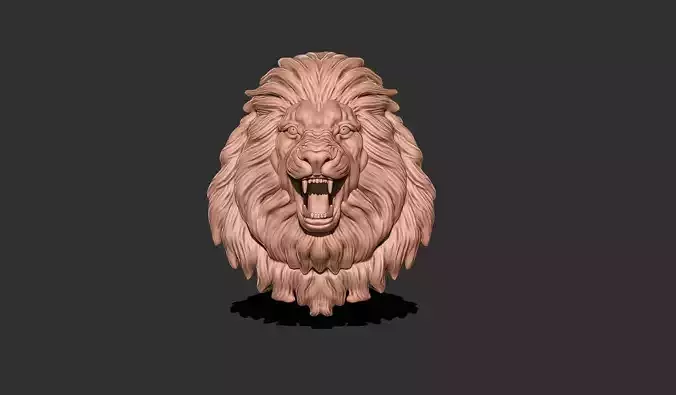 LION FACE