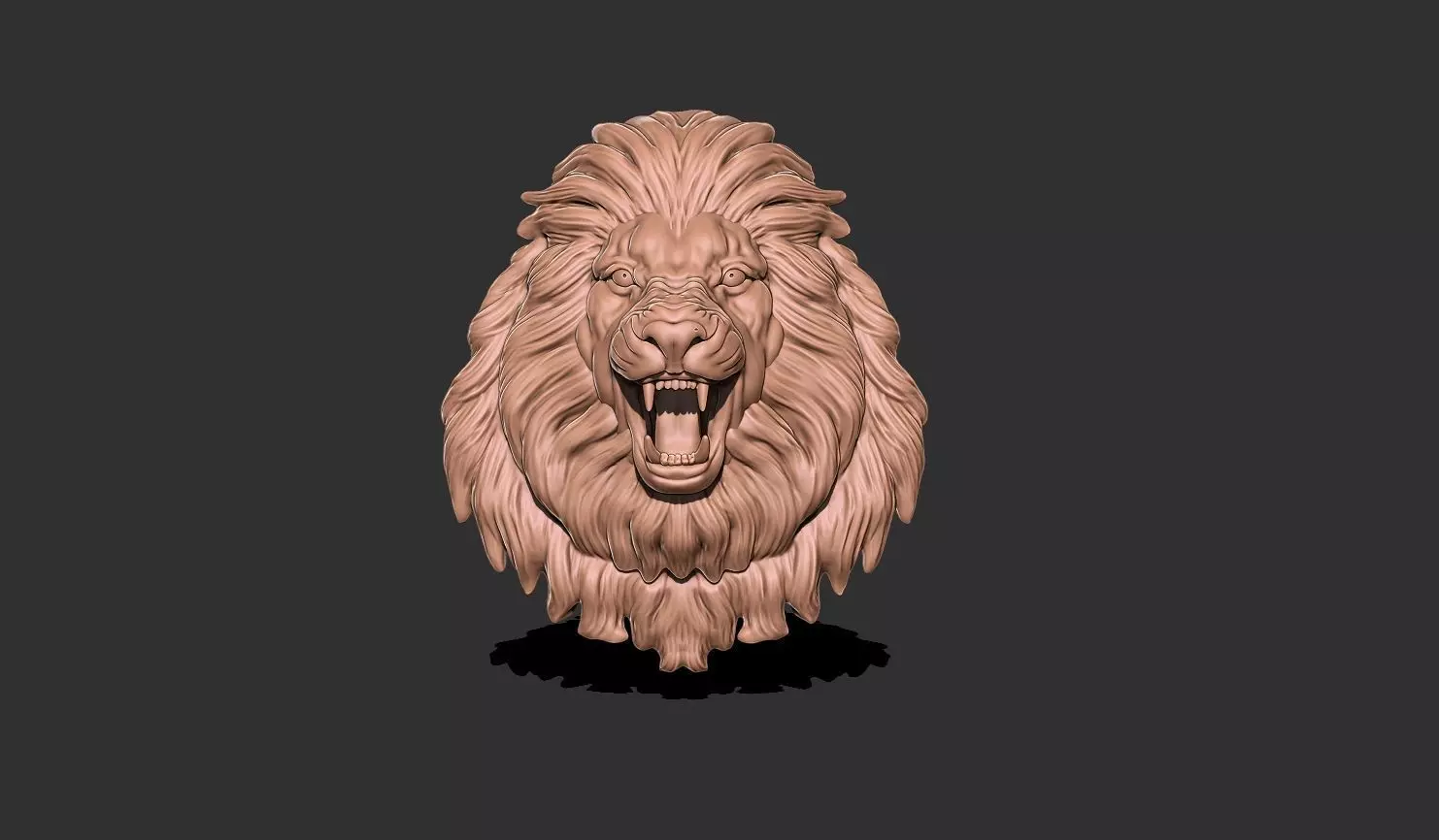 LION FACE 3D print model