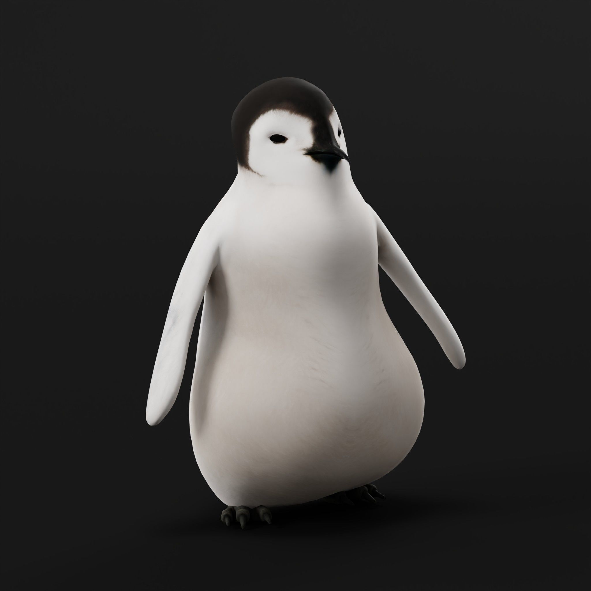 Emperor Penguin Chick Low-poly 3D model_3