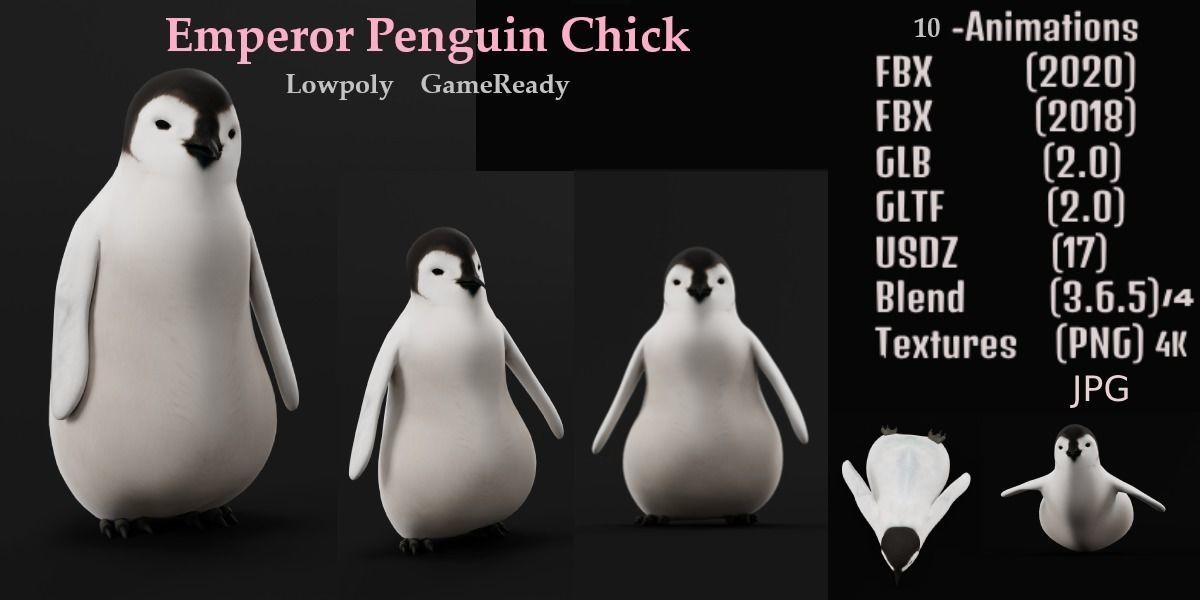 Emperor Penguin Chick Low-poly 3D model_2