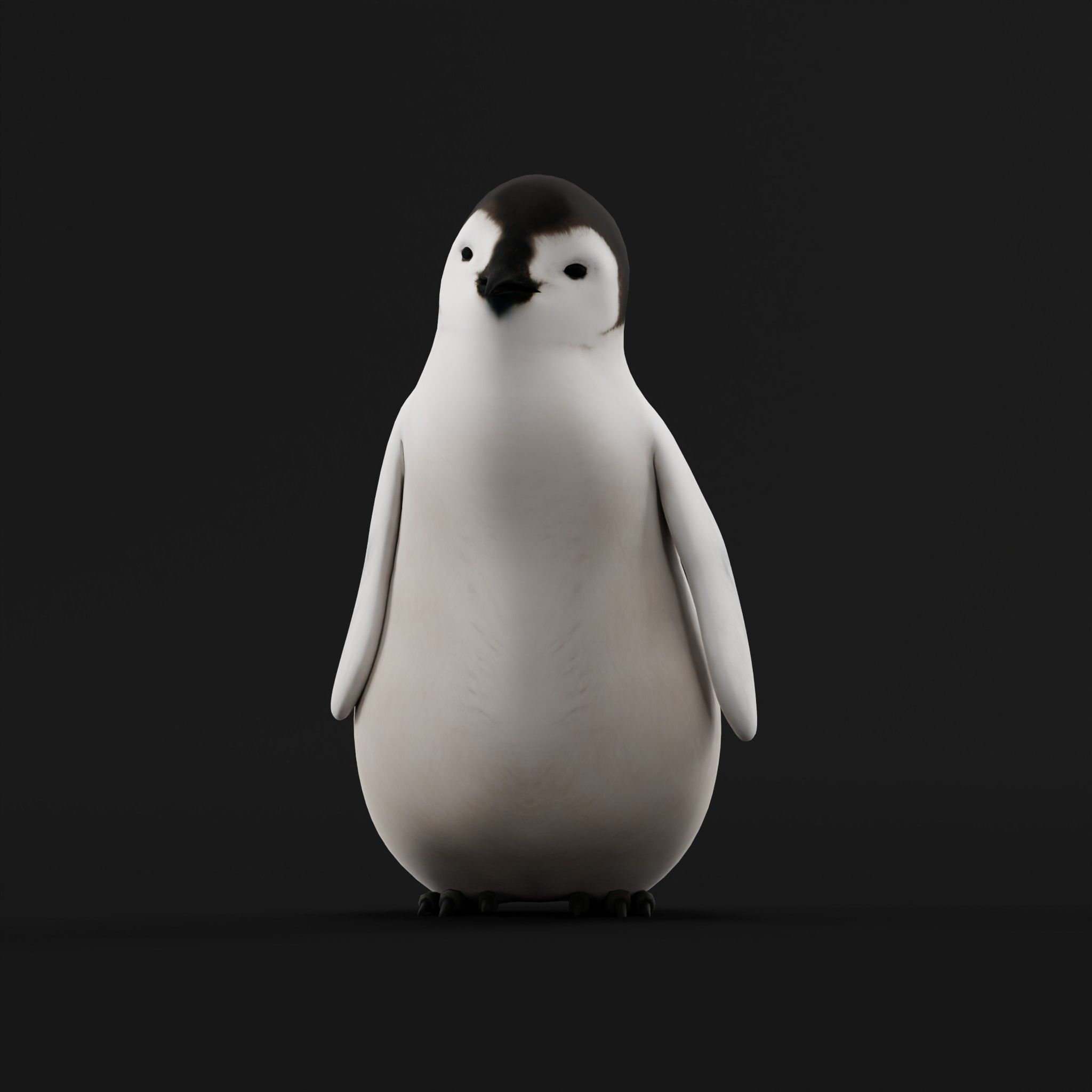 Emperor Penguin Chick Low-poly 3D model_4