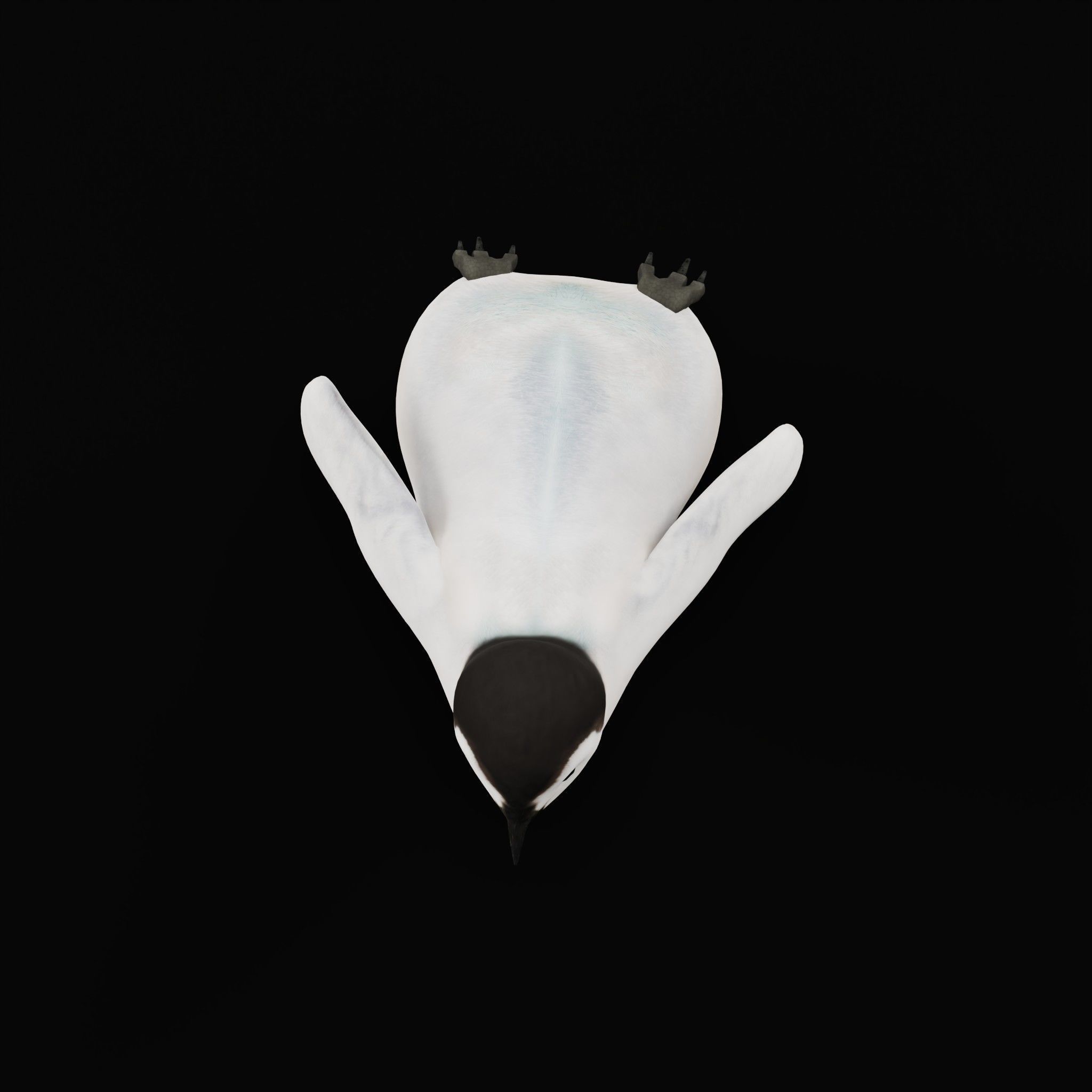 Emperor Penguin Chick Low-poly 3D model_10