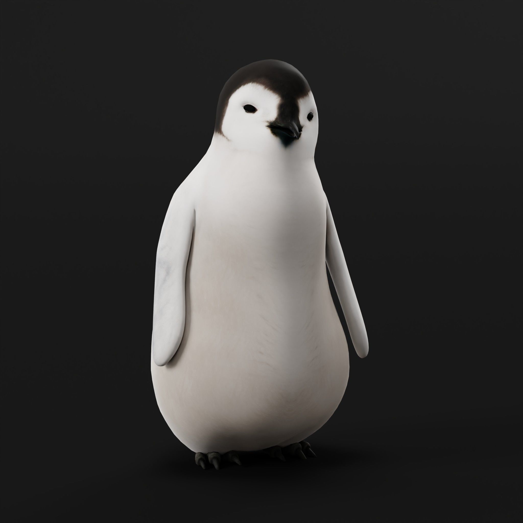 Emperor Penguin Chick Low-poly 3D model_9