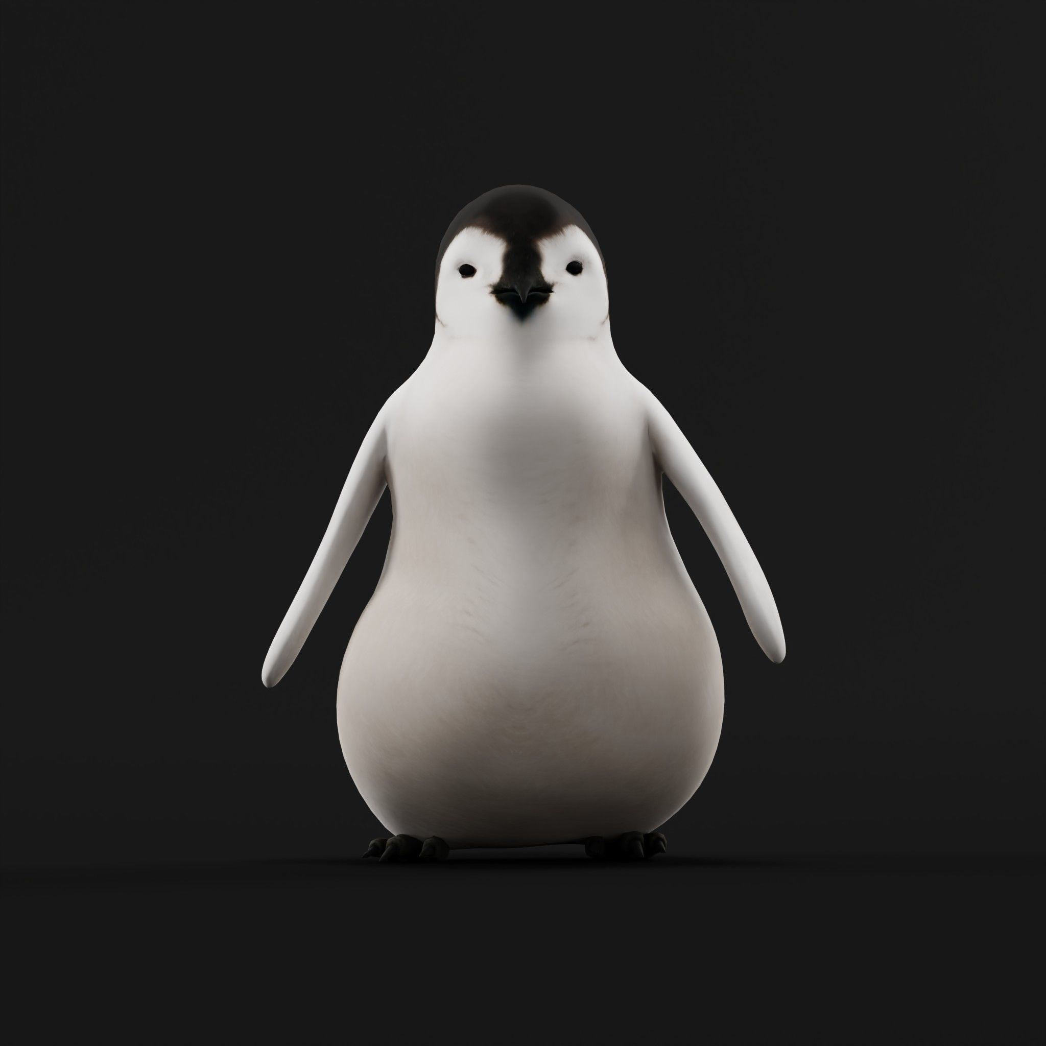 Emperor Penguin Chick Low-poly 3D model_8