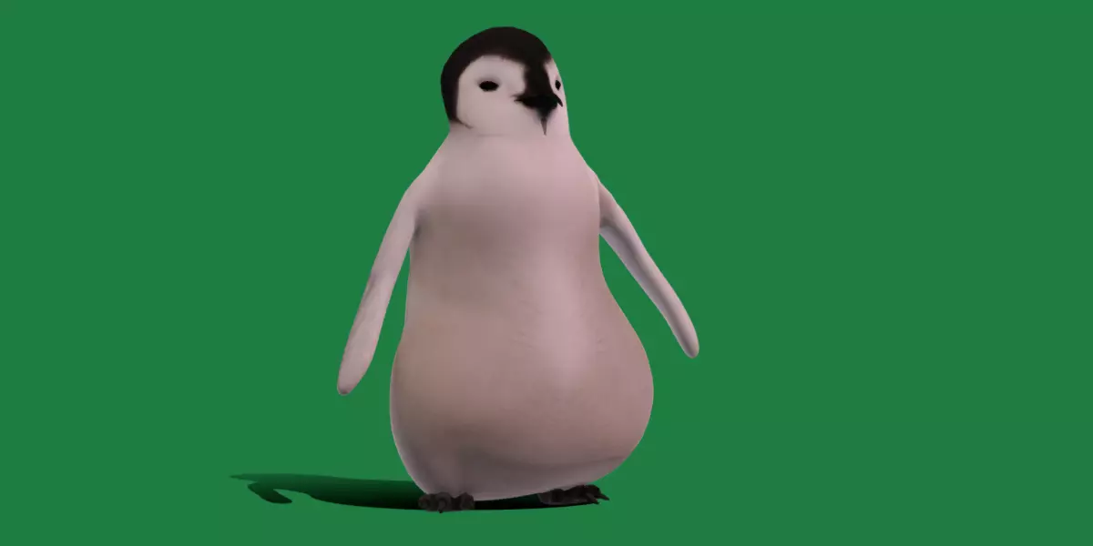 Emperor Penguin Chick Low-poly 3D model_0