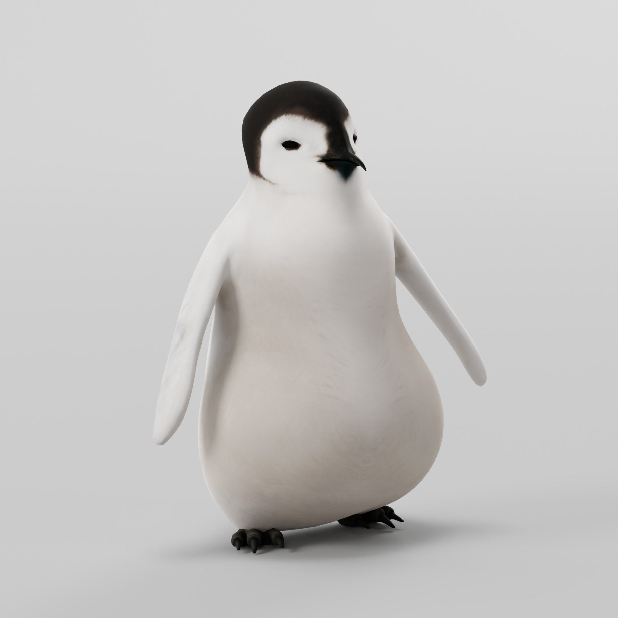 Emperor Penguin Chick Low-poly 3D model_7