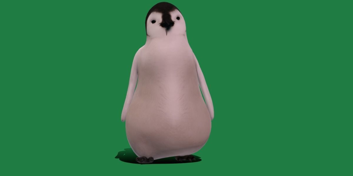 Emperor Penguin Chick Low-poly 3D model_24