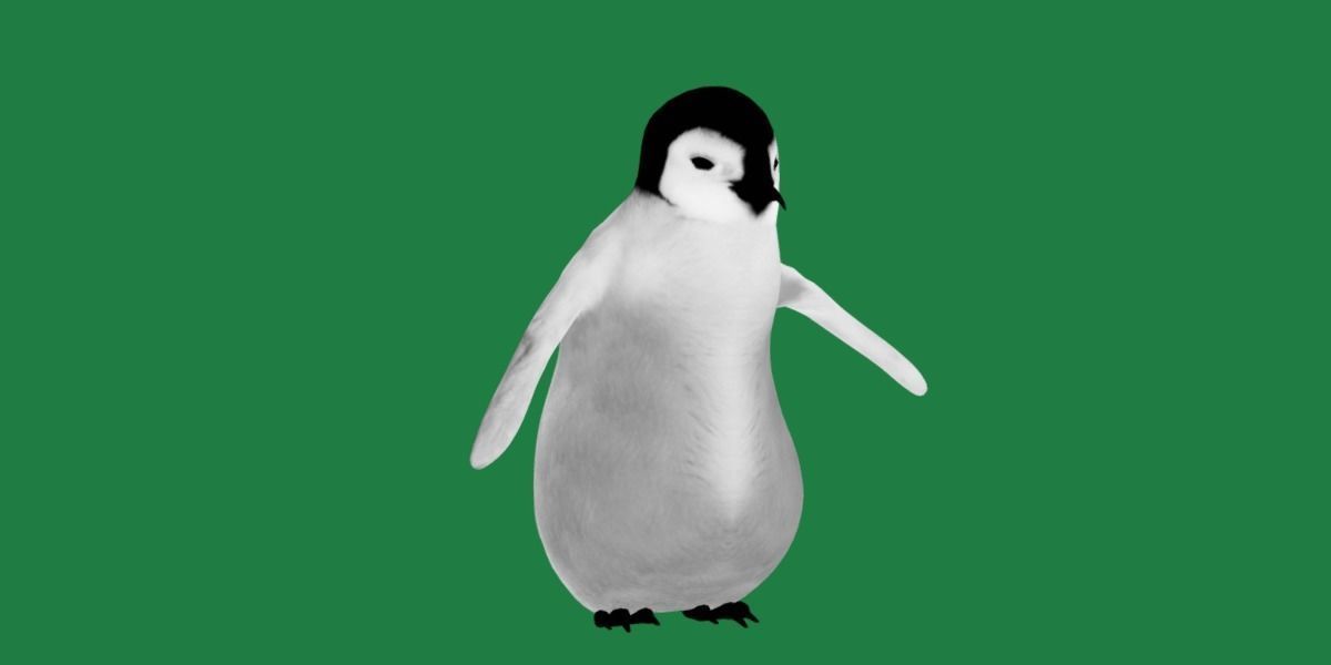 Emperor Penguin Chick Low-poly 3D model_15