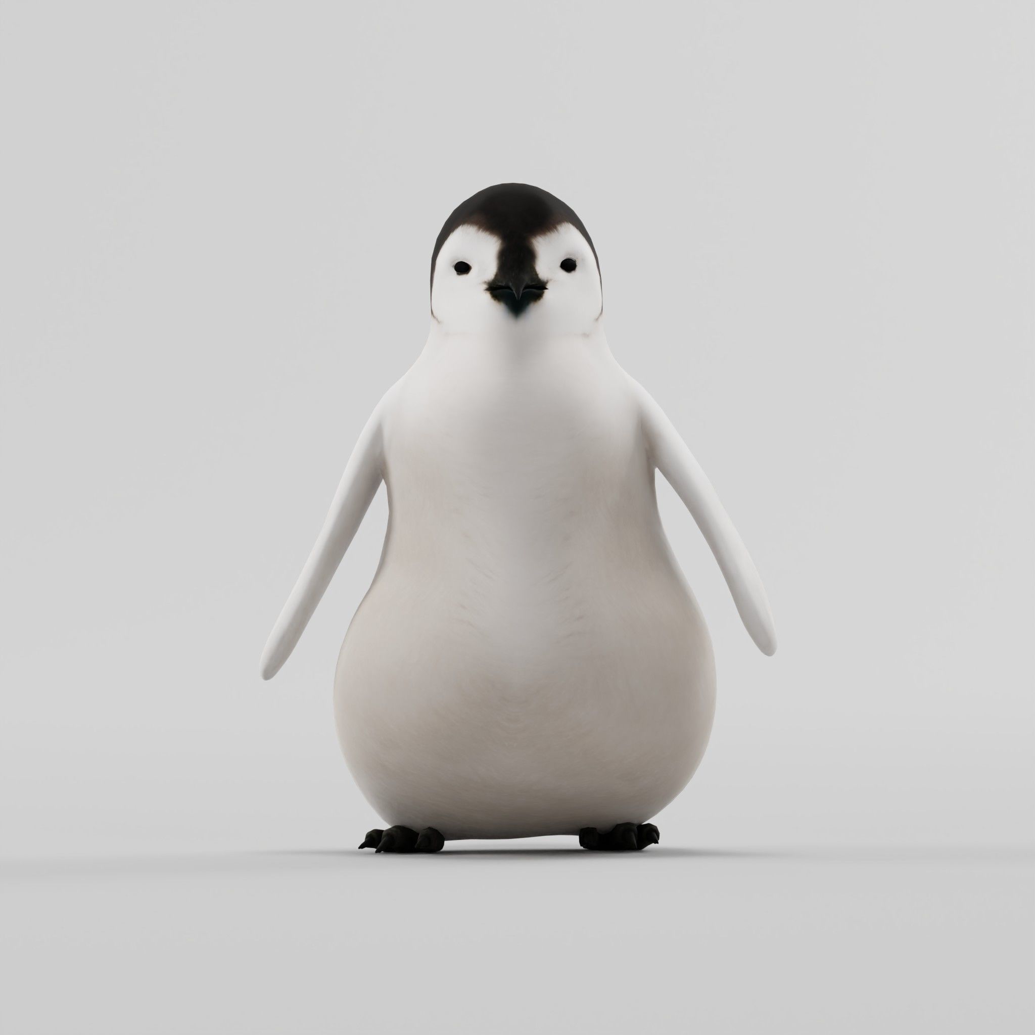 Emperor Penguin Chick Low-poly 3D model_5
