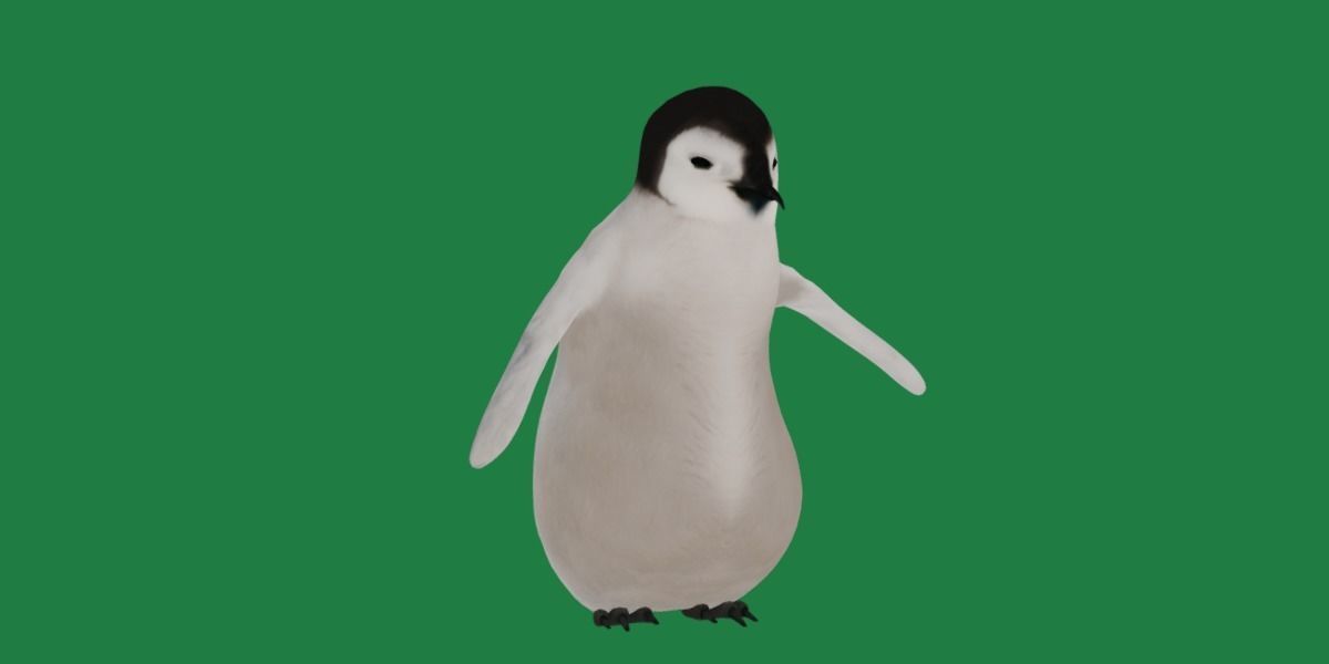 Emperor Penguin Chick Low-poly 3D model_29