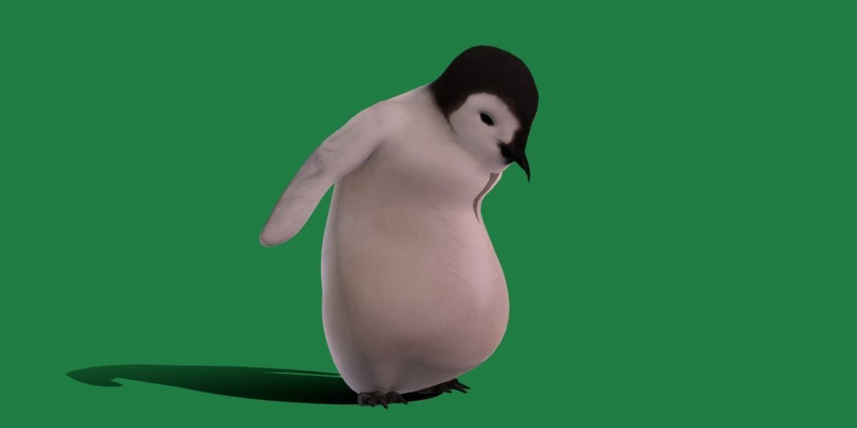 Emperor Penguin Chick Low-poly 3D model_25