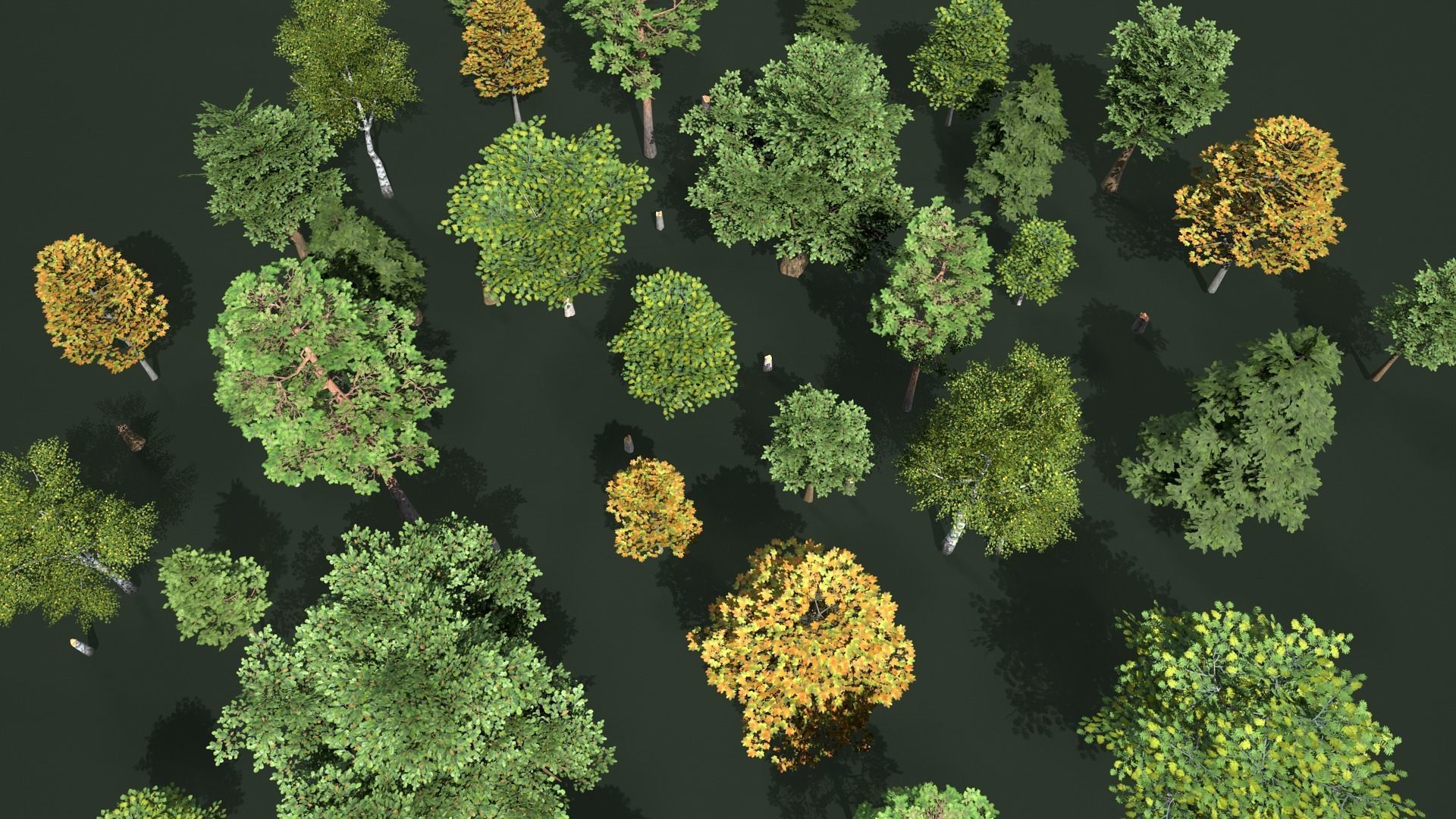 Low Poly Trees Pack Animation Low-poly 3D model_4