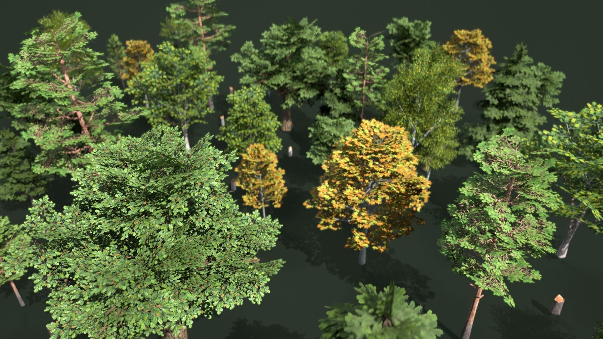 Low Poly Trees Pack Animation Low-poly 3D model_5