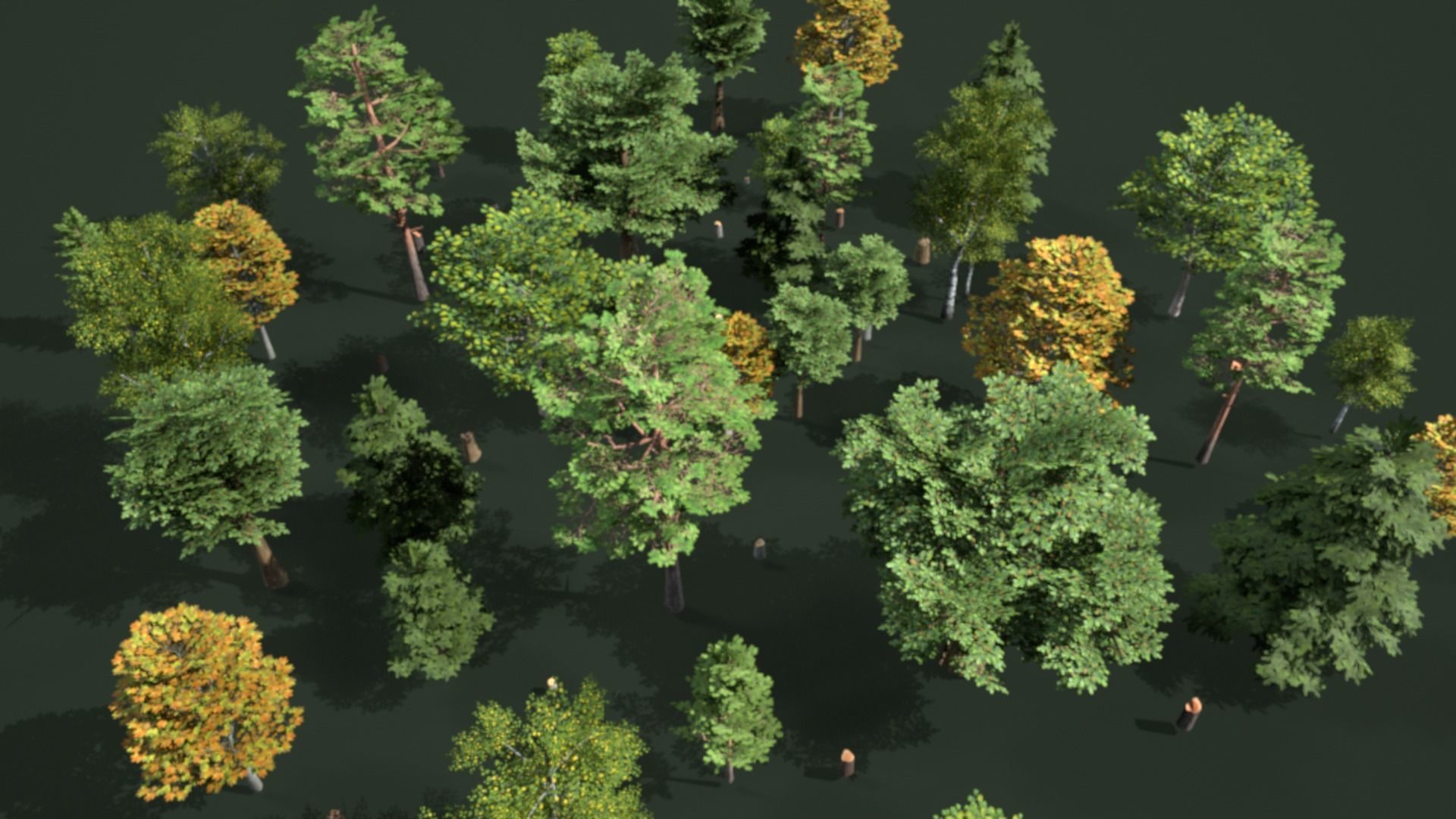 Low Poly Trees Pack Animation Low-poly 3D model_3
