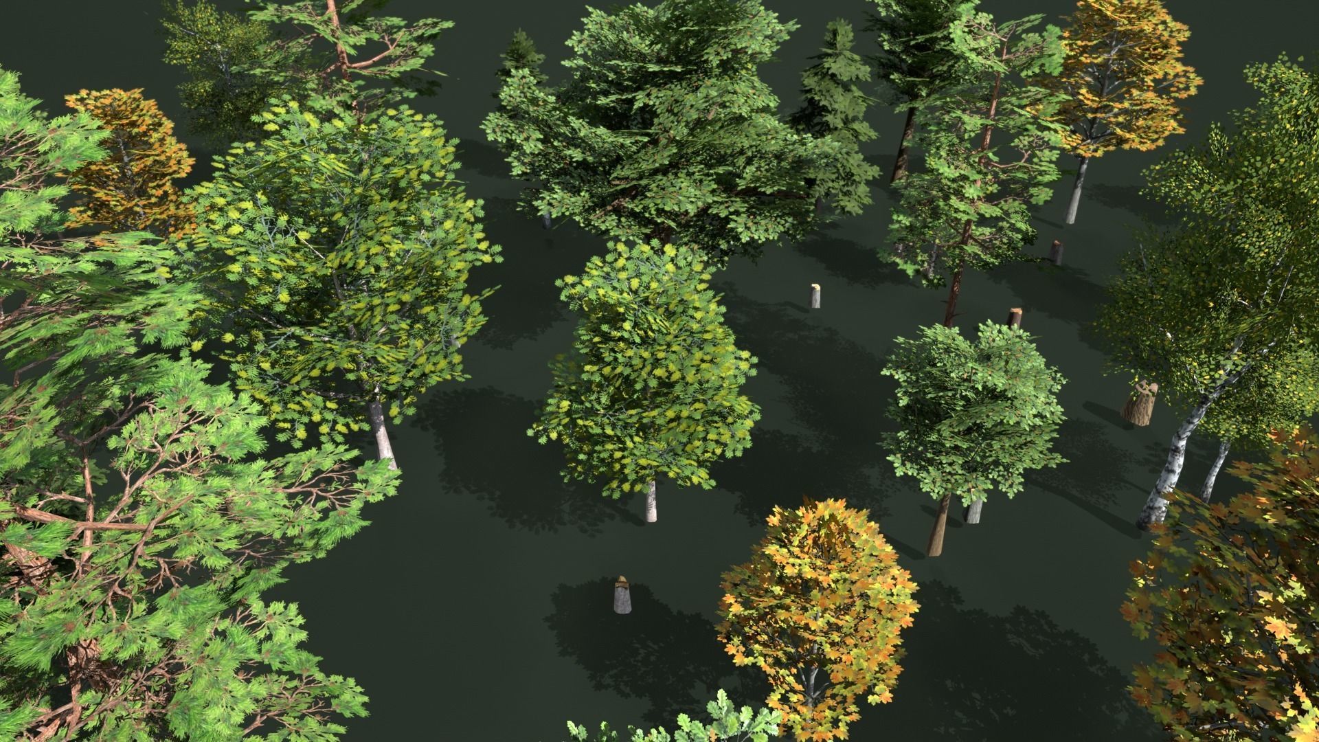Low Poly Trees Pack Animation Low-poly 3D model_2