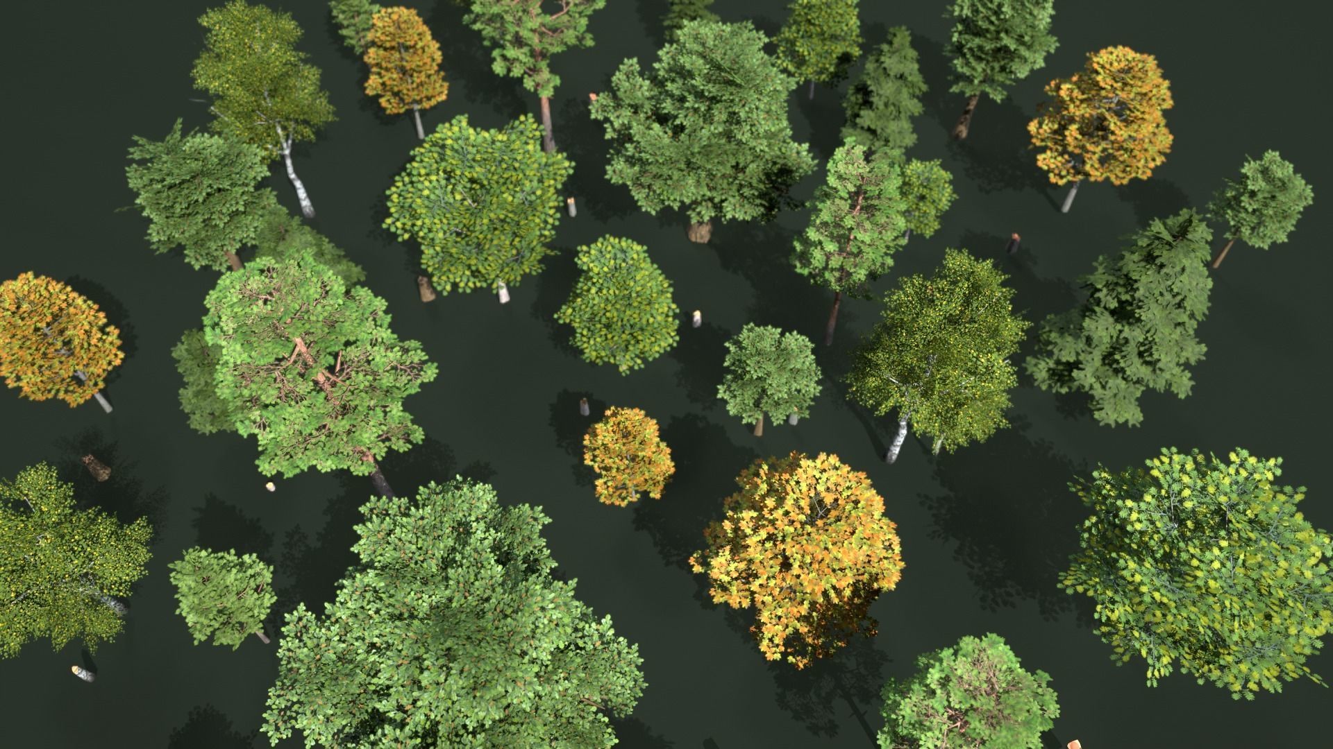 Low Poly Trees Pack Animation Low-poly 3D model_6