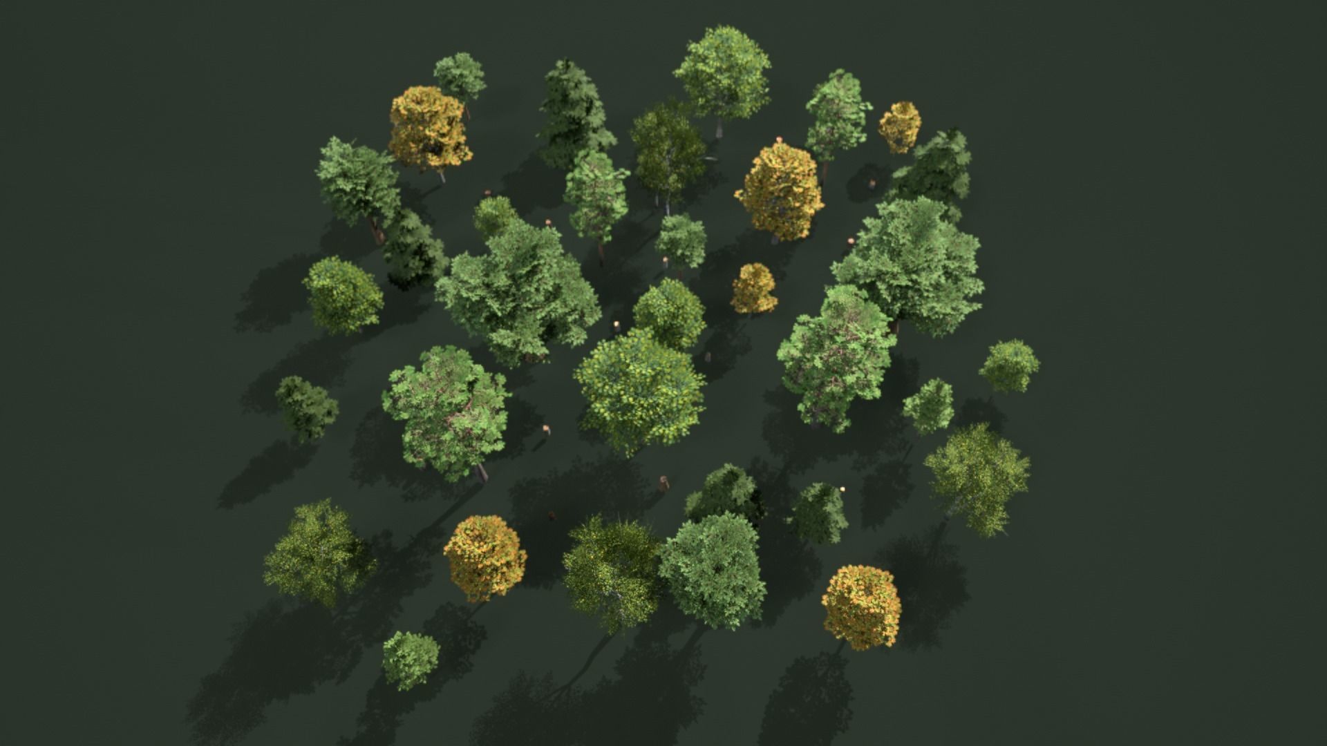 Low Poly Trees Pack Animation Low-poly 3D model_7