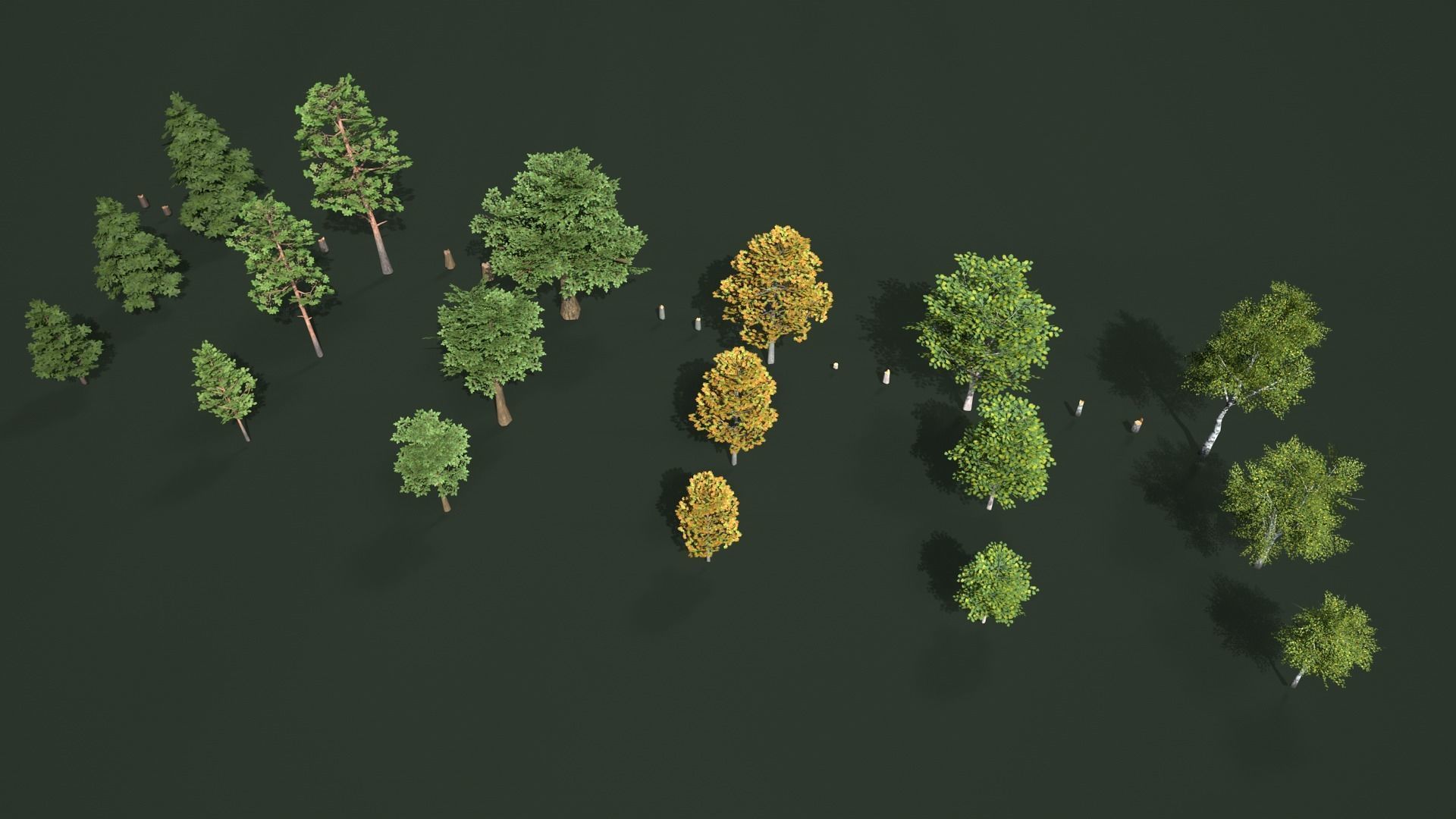 Low Poly Trees Pack Animation Low-poly 3D model_9