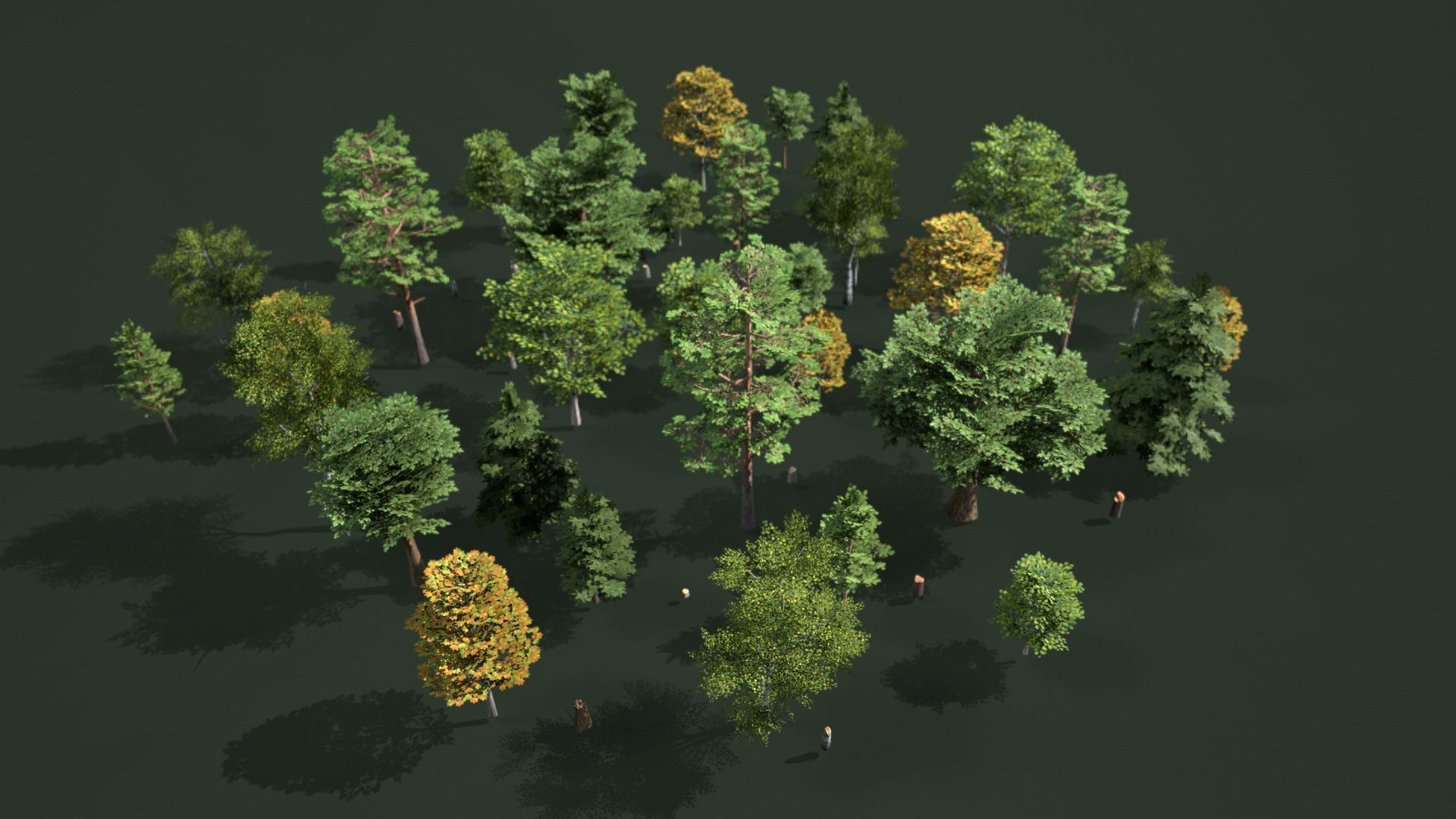 Low Poly Trees Pack Animation Low-poly 3D model_8