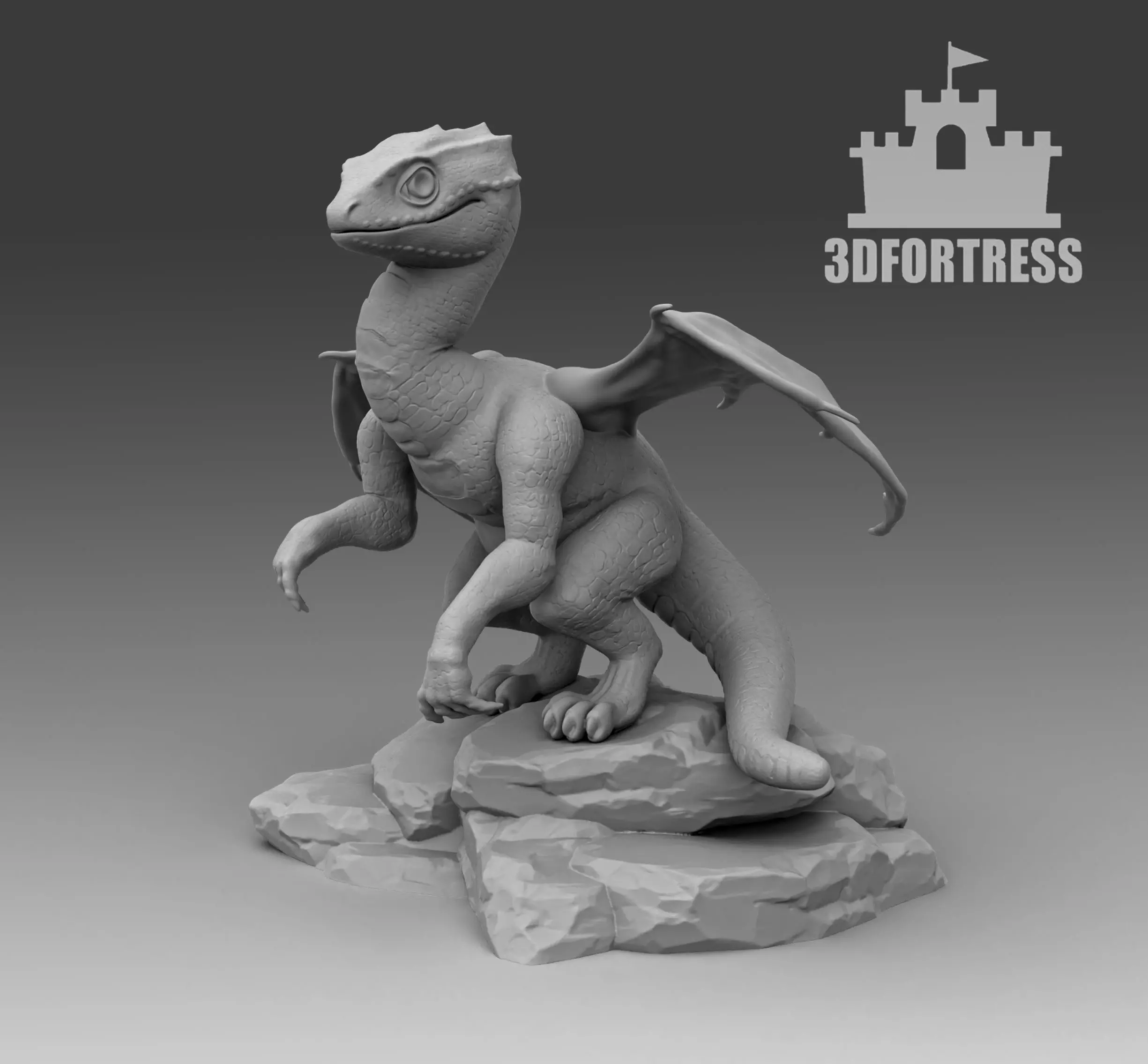Dragon lizard 3D print model_0