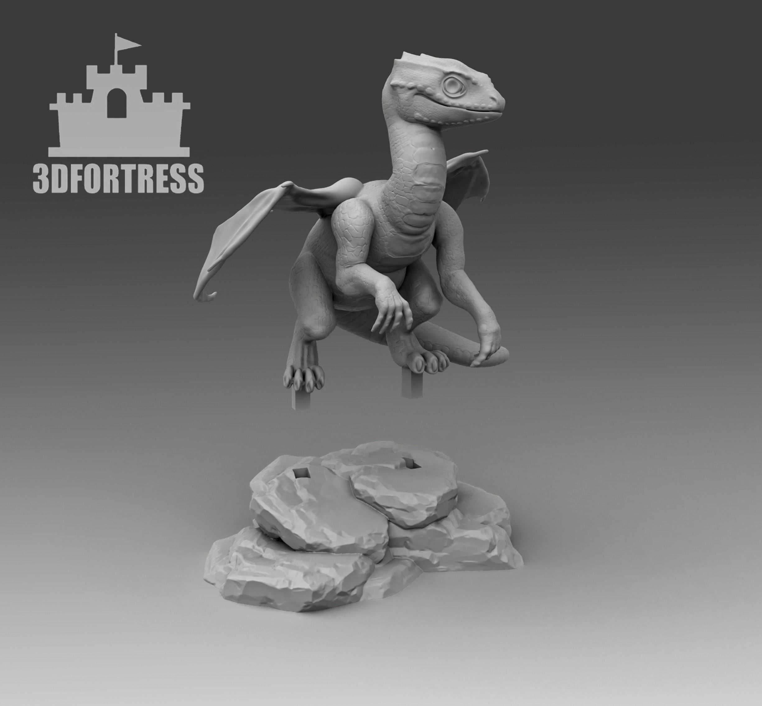 Dragon lizard 3D print model_3
