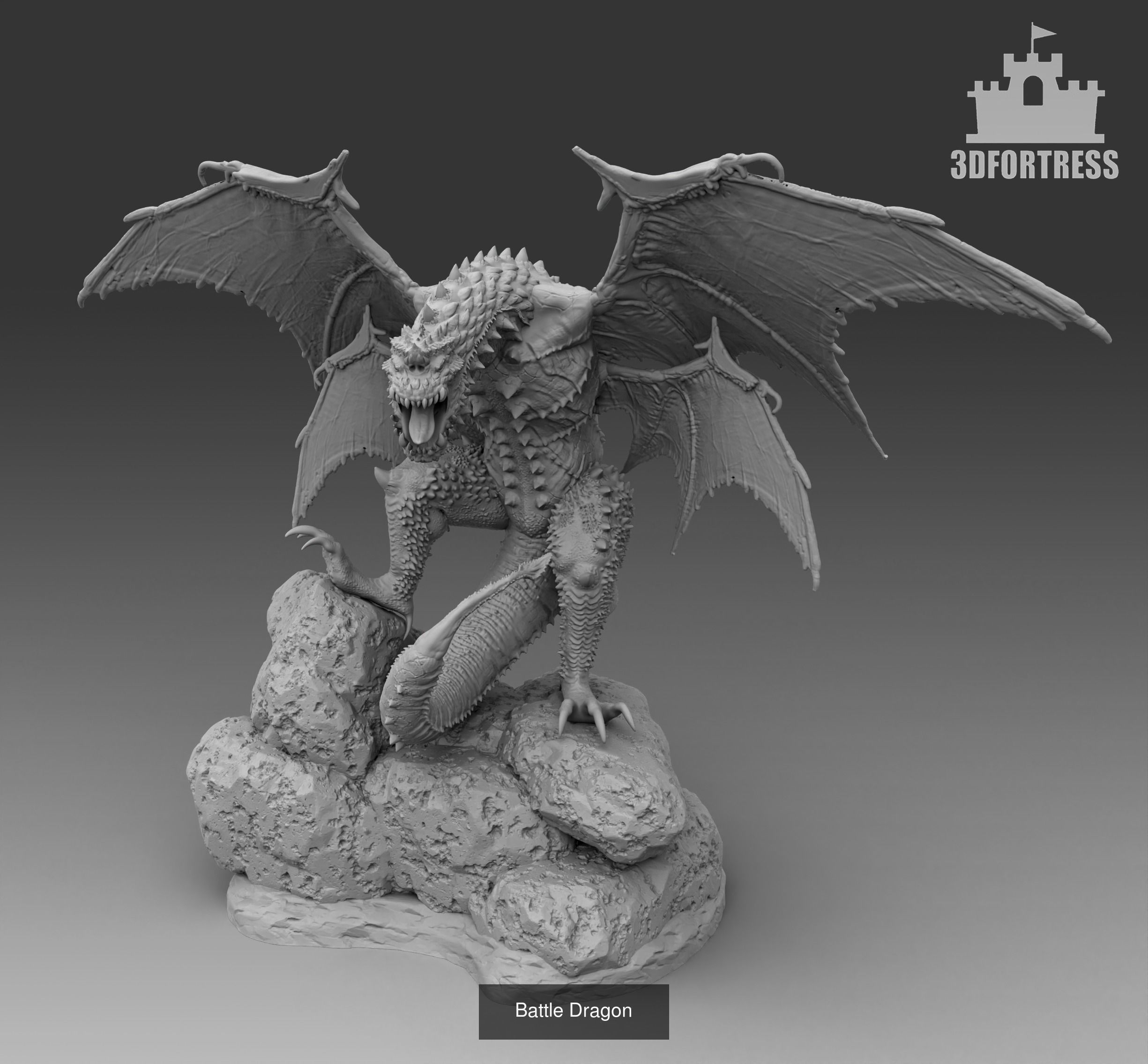 Dragon Lair 3D Model Collection_36
