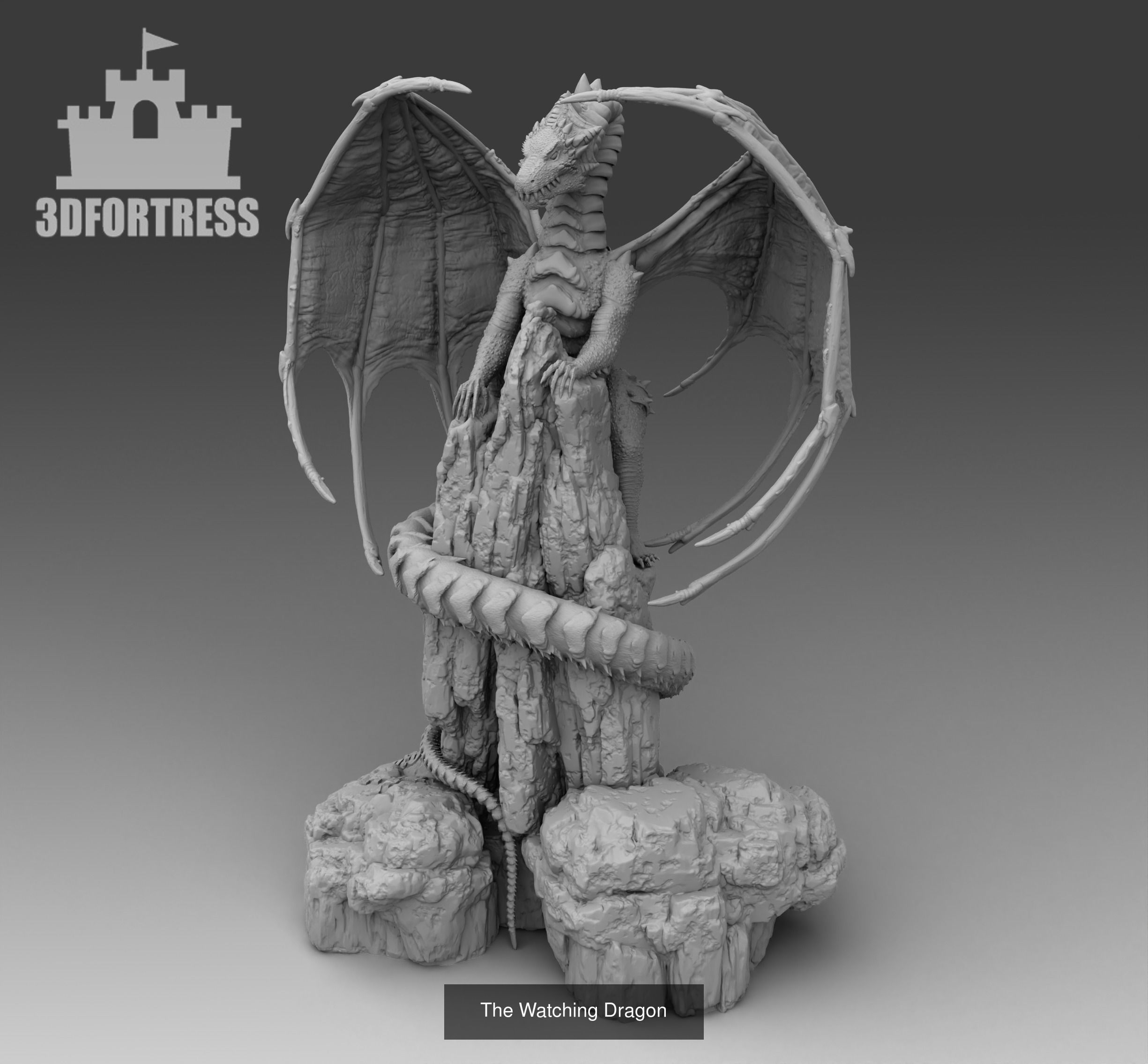 Dragon Lair 3D Model Collection_22