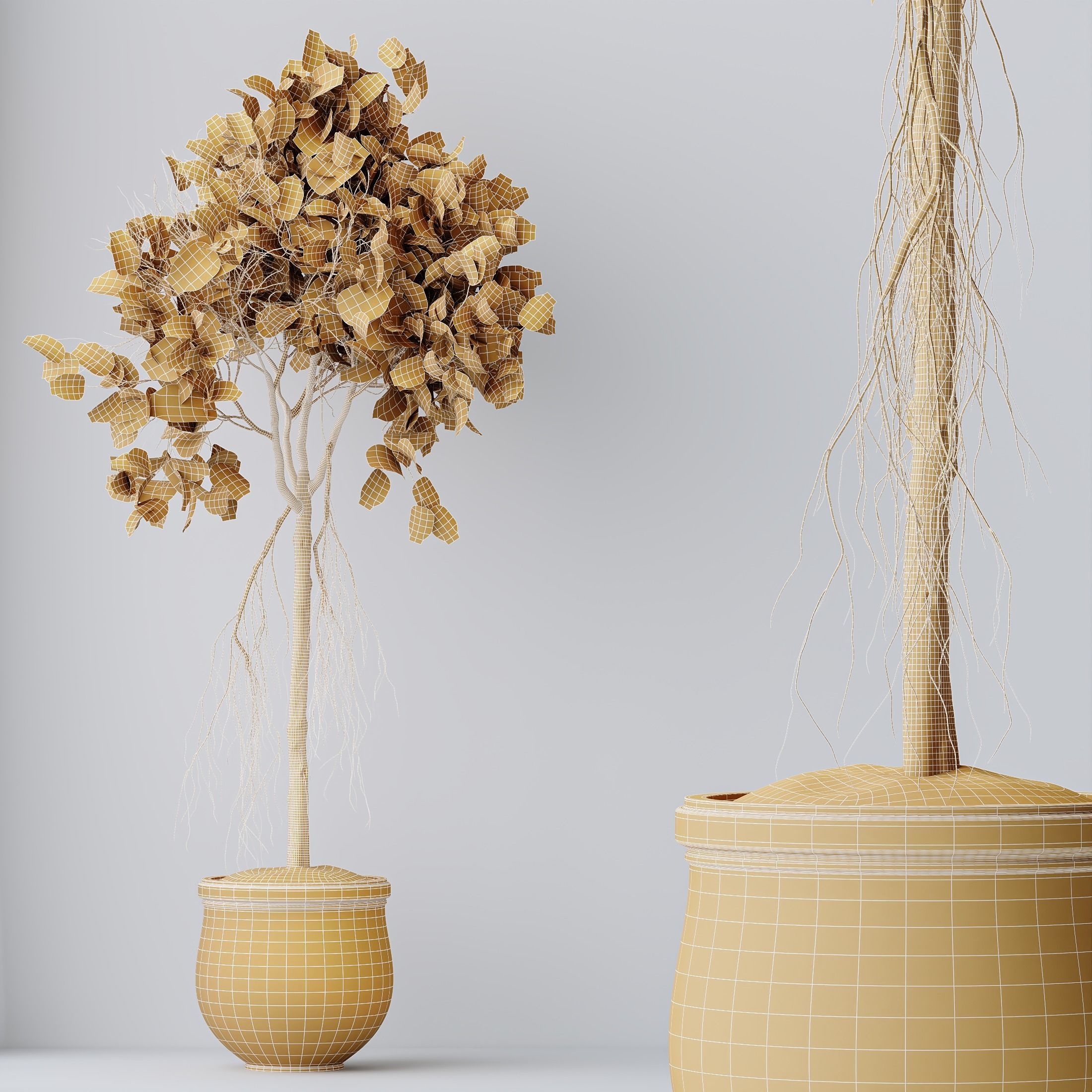 HQ HousePlants Decorative Ficus Benjamina African Fig 3D model_1